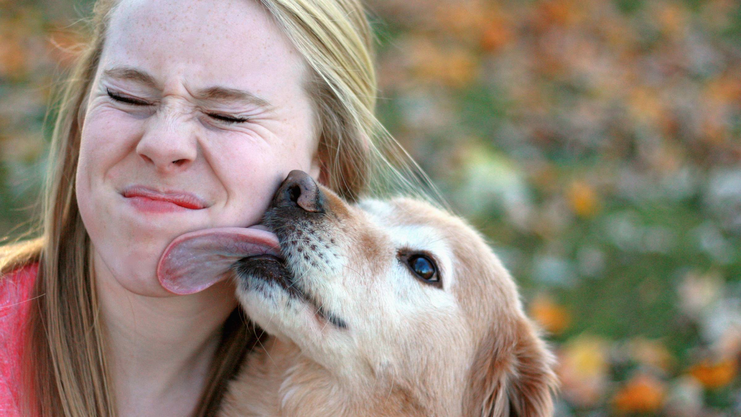 Dog licking a woman's face