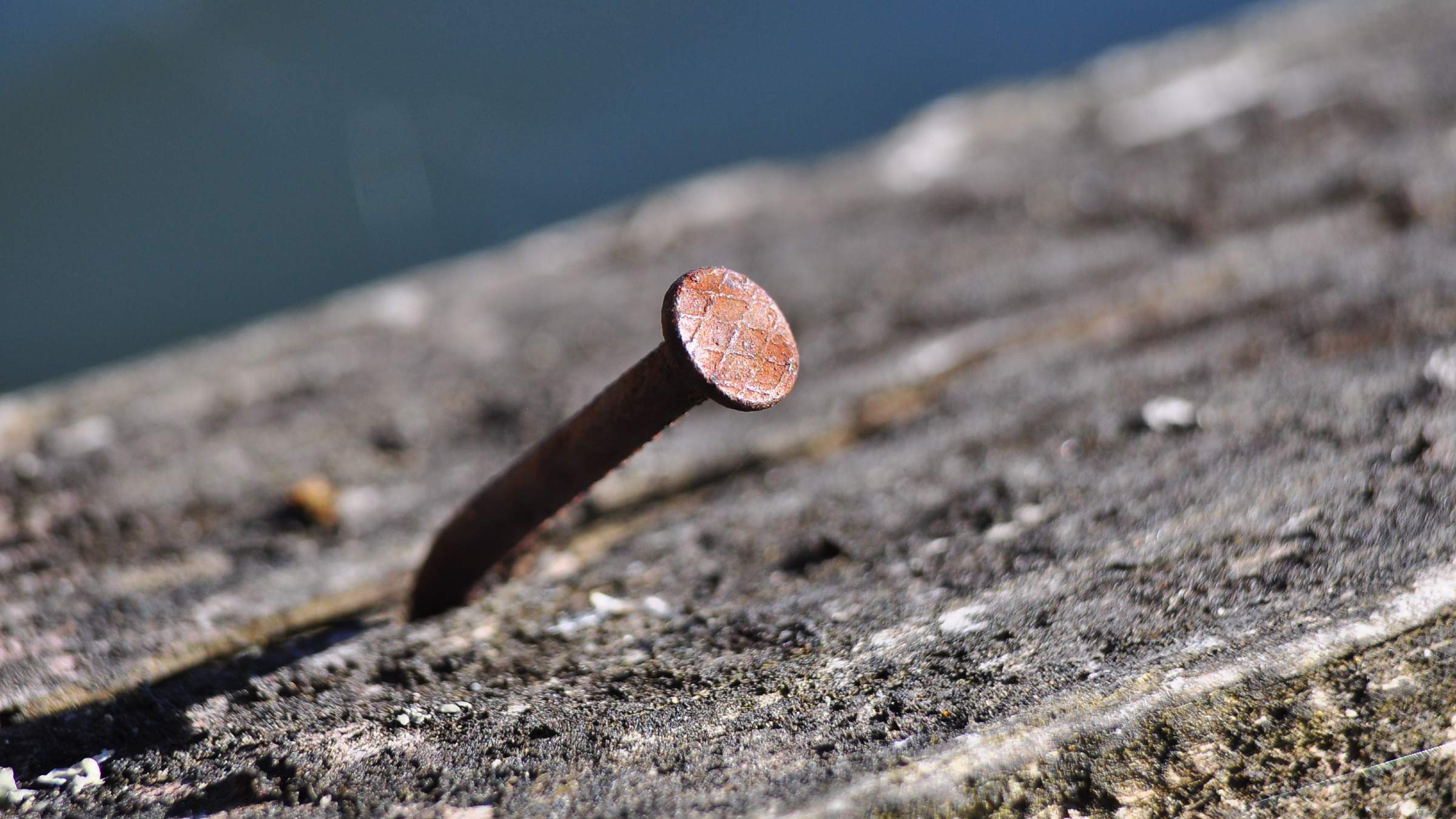 Nail in wood