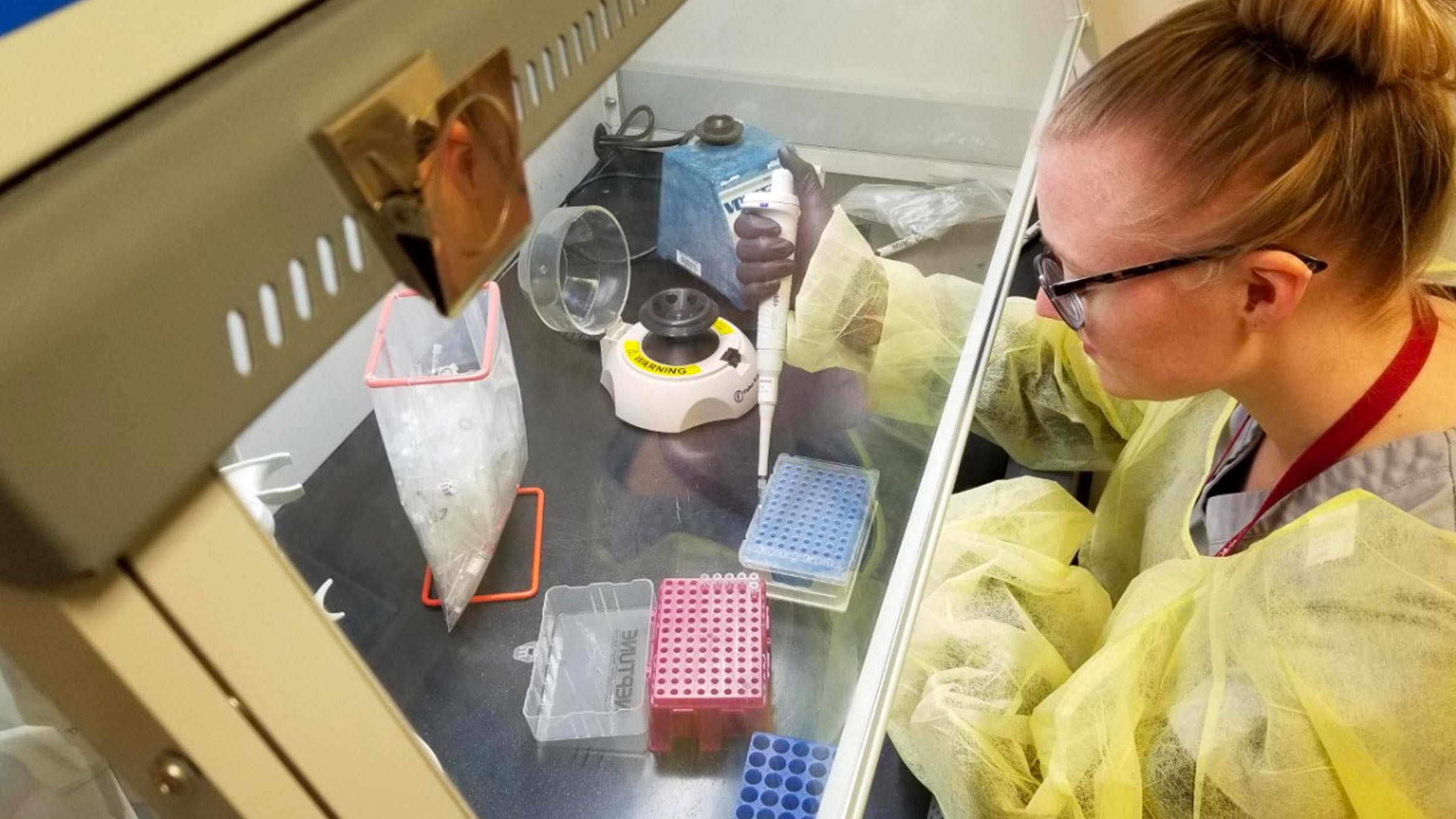 Researcher in a lab