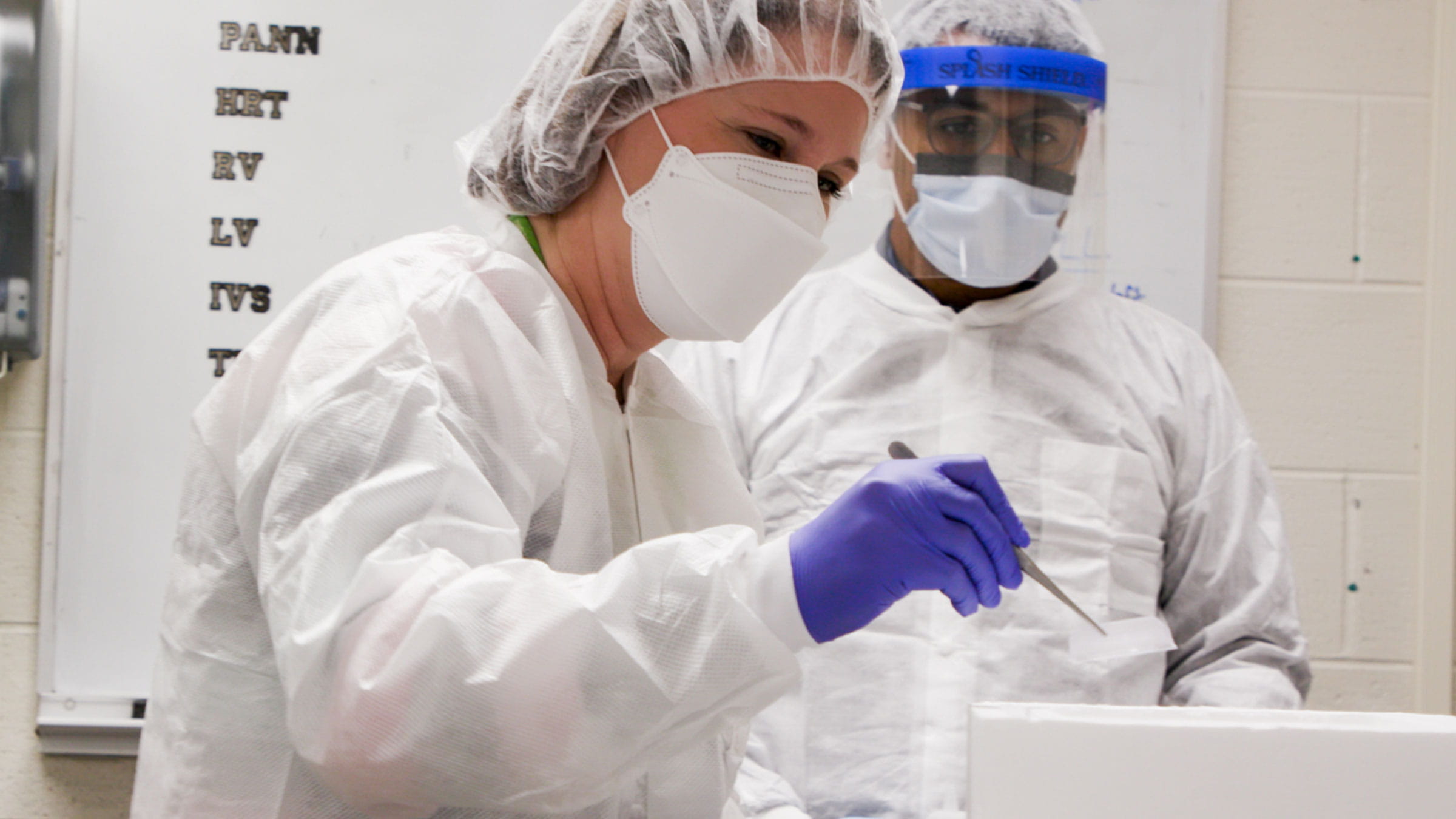Rapid research autopsy team in working in their cancer research lab