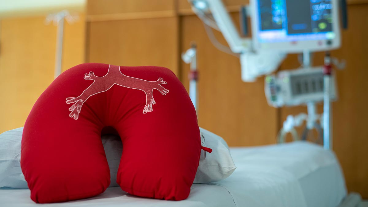 Lung shaped pillow on a hospital bed