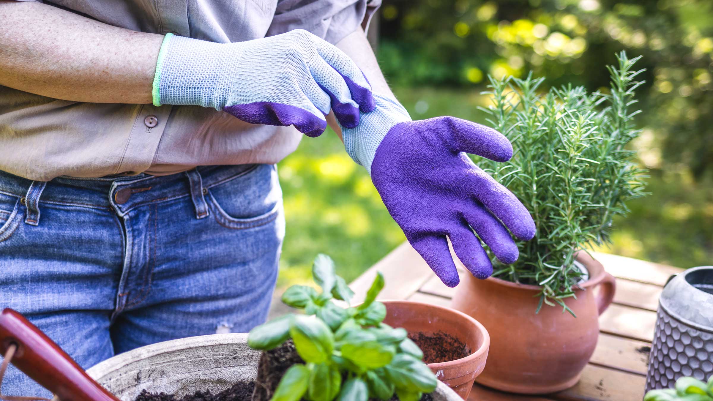 Woman putting on garden gloves