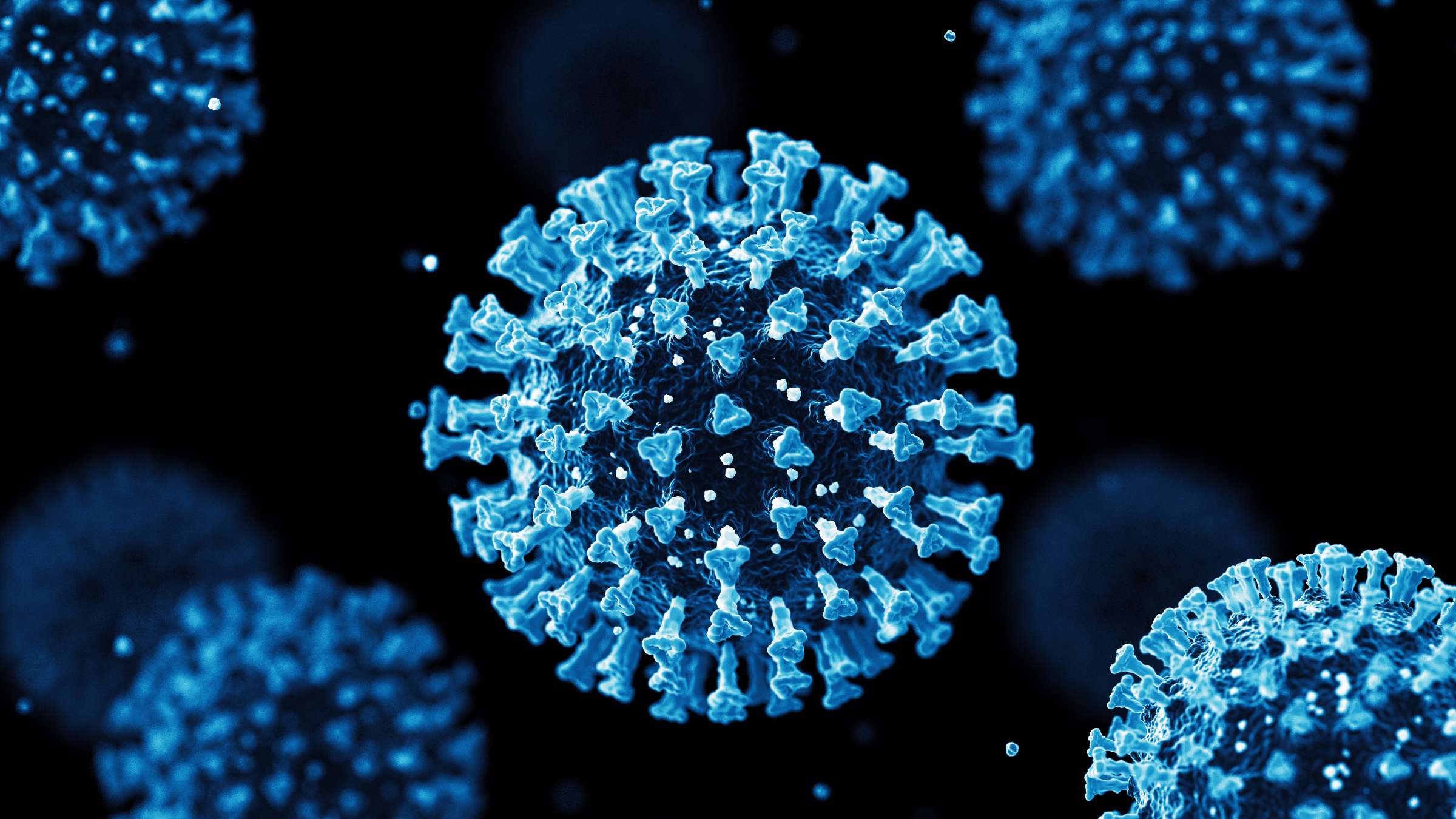 Coronavirus 3D rendering