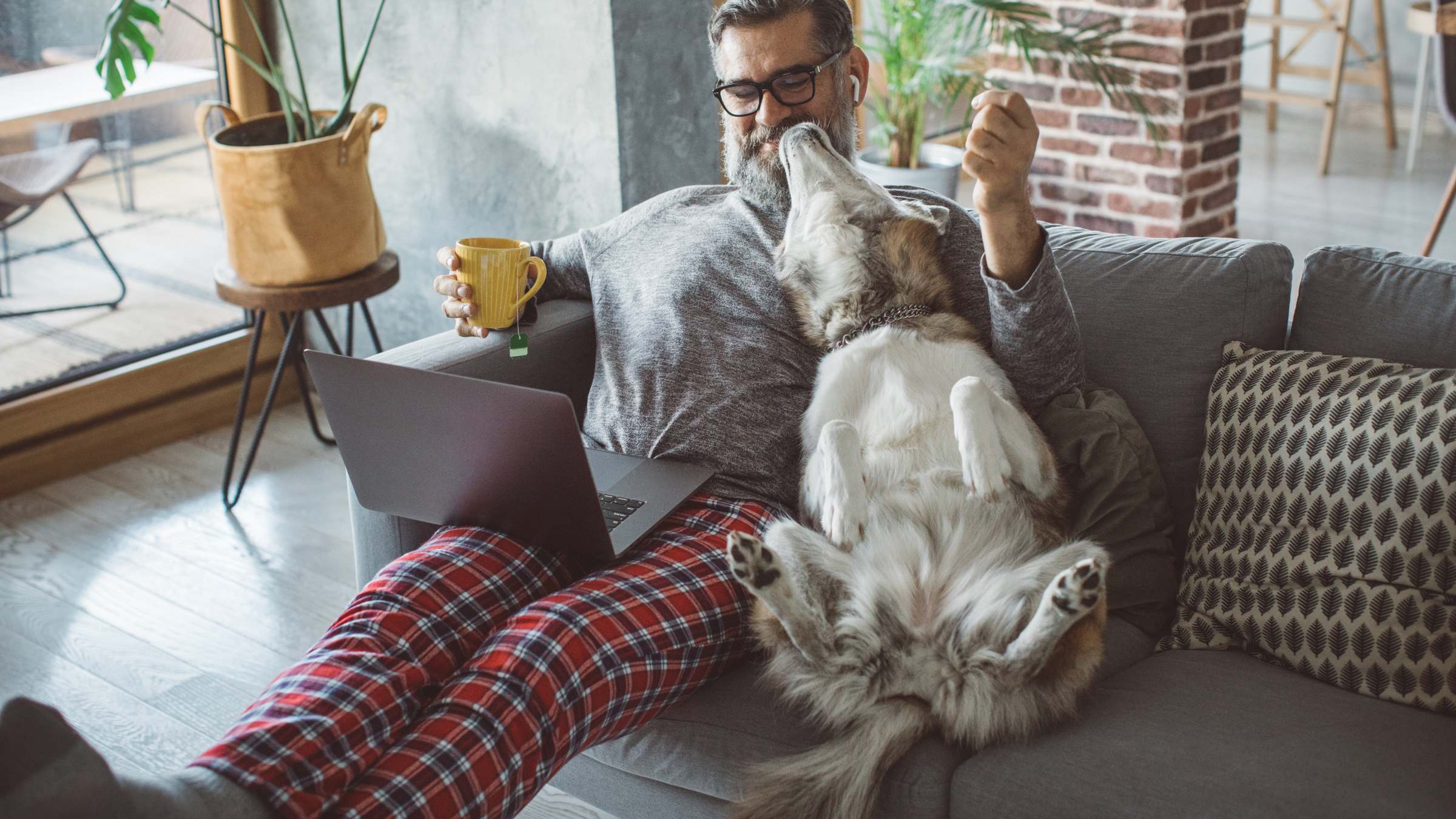 Man sitting on a couch with a laptop and a dog