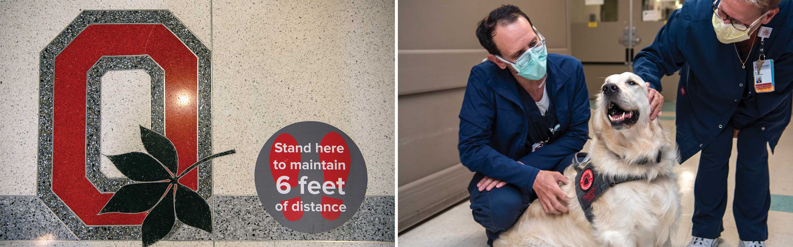 Six feet apart signs on floors at Ohio State and providers with a therapy dog at the hospital