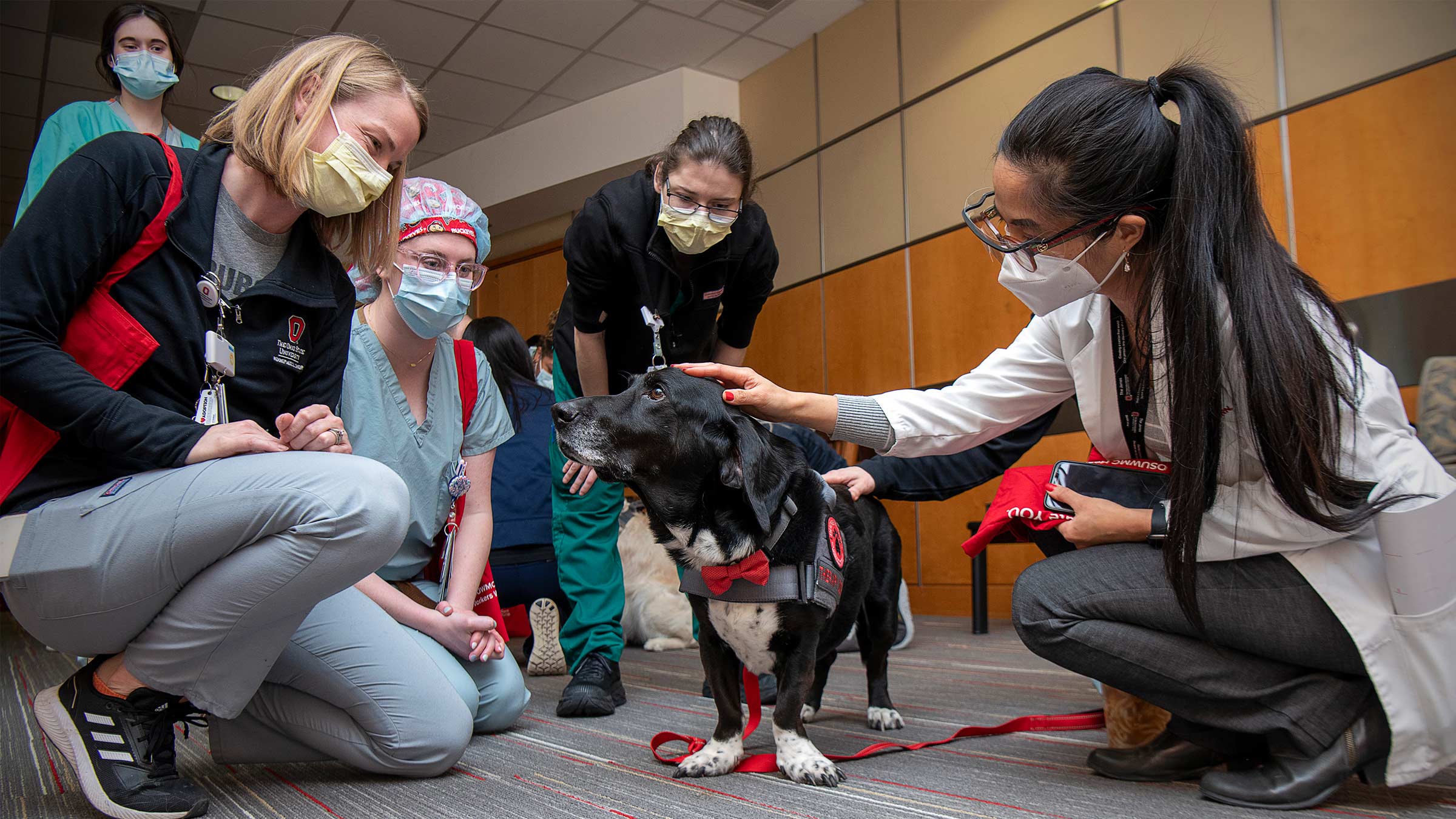 Health care workers petting Dexter, a therapy dog with Buckeye Paws