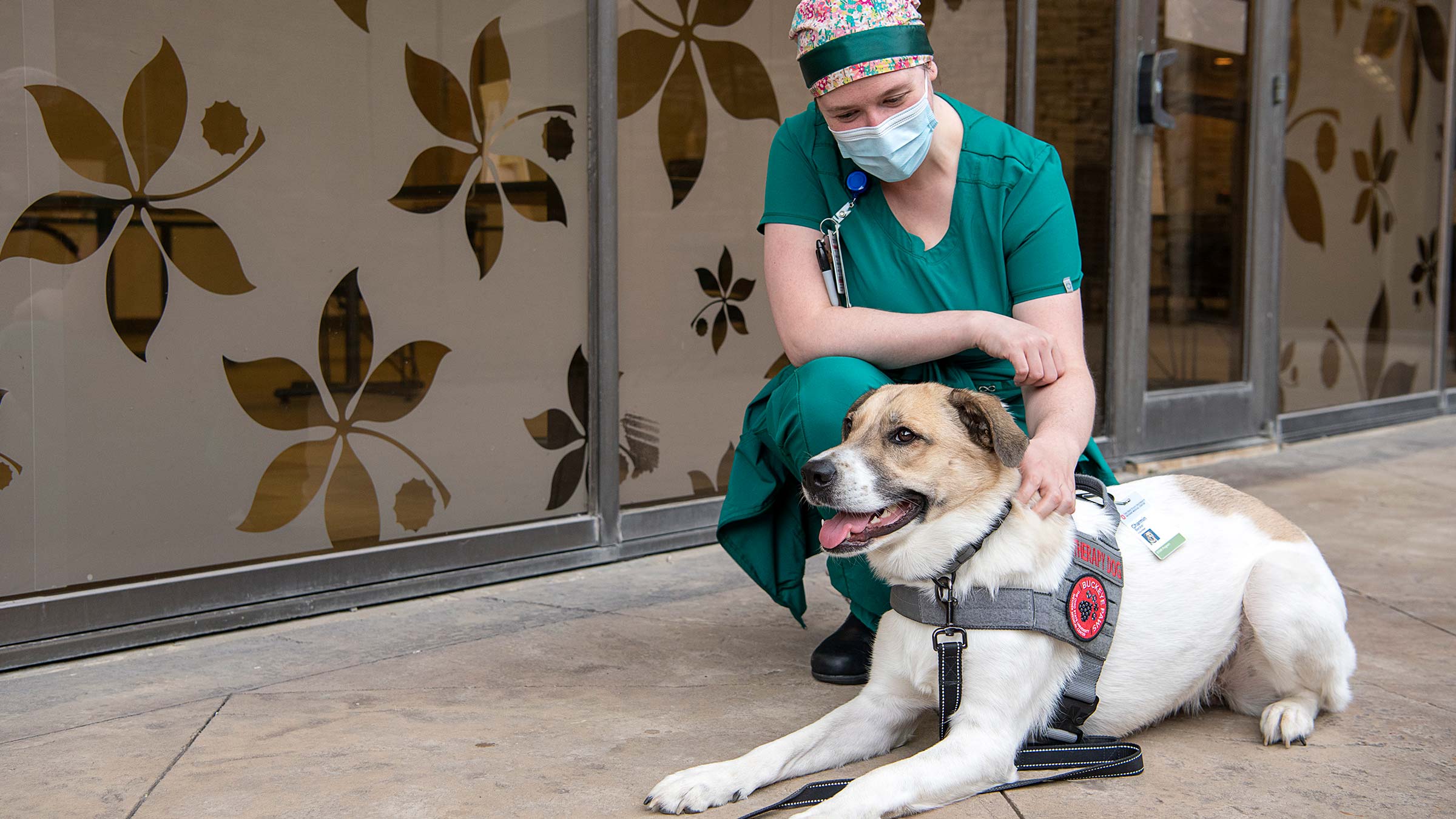 Health care worker wearing PPE smiling and petting a Buckeye Paws therapy dog
