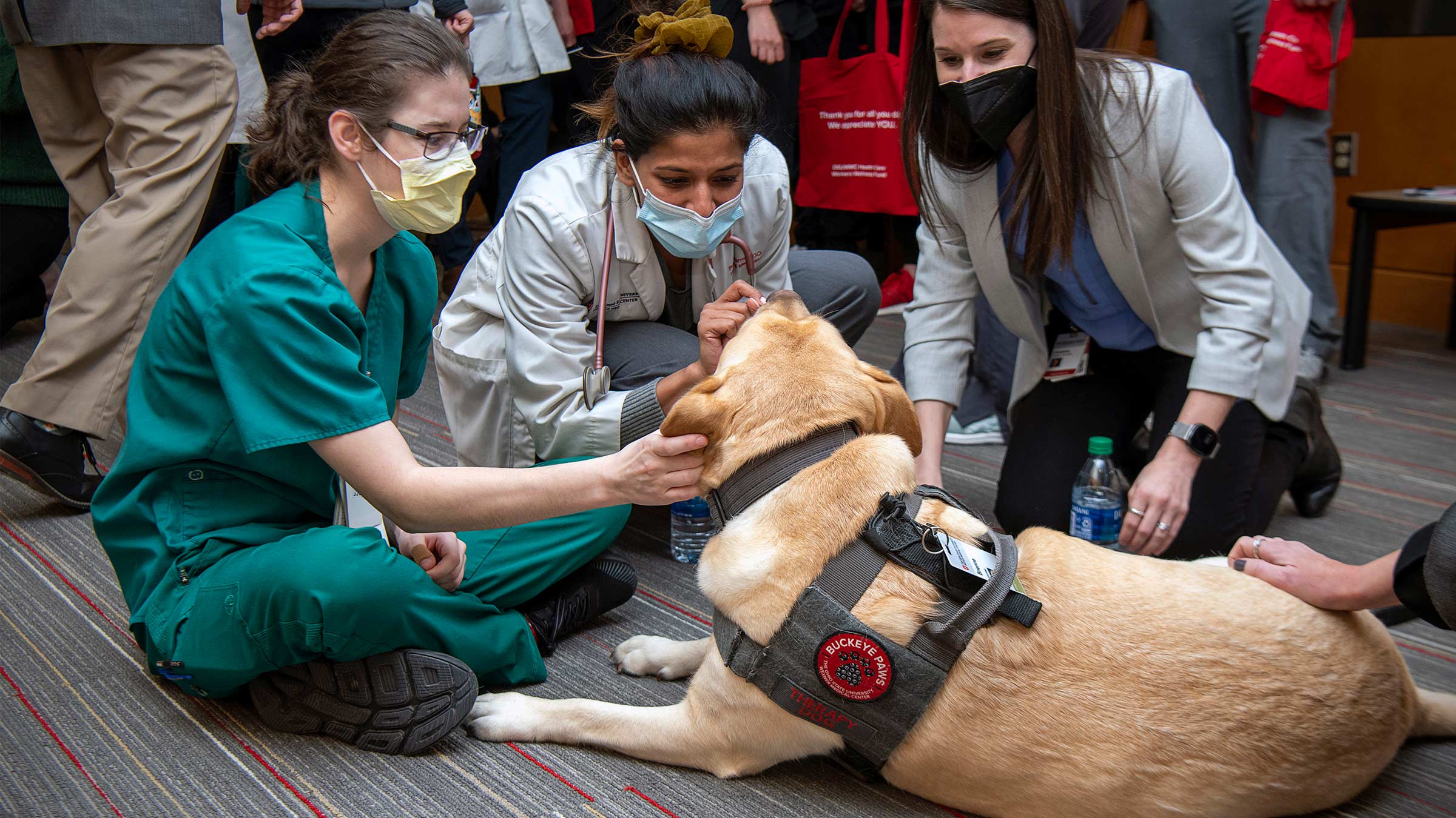 Priya Varma, MD and a group of health care workers with a Buckeye Paws dog