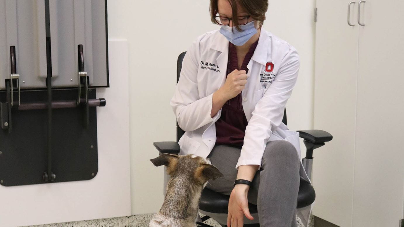 Dr. M. Leanne Lilly interacts with a canine patient