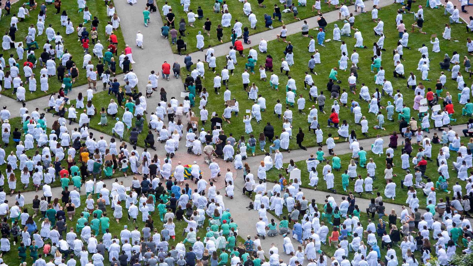 Top view of the lawn with people in white coats kneeling