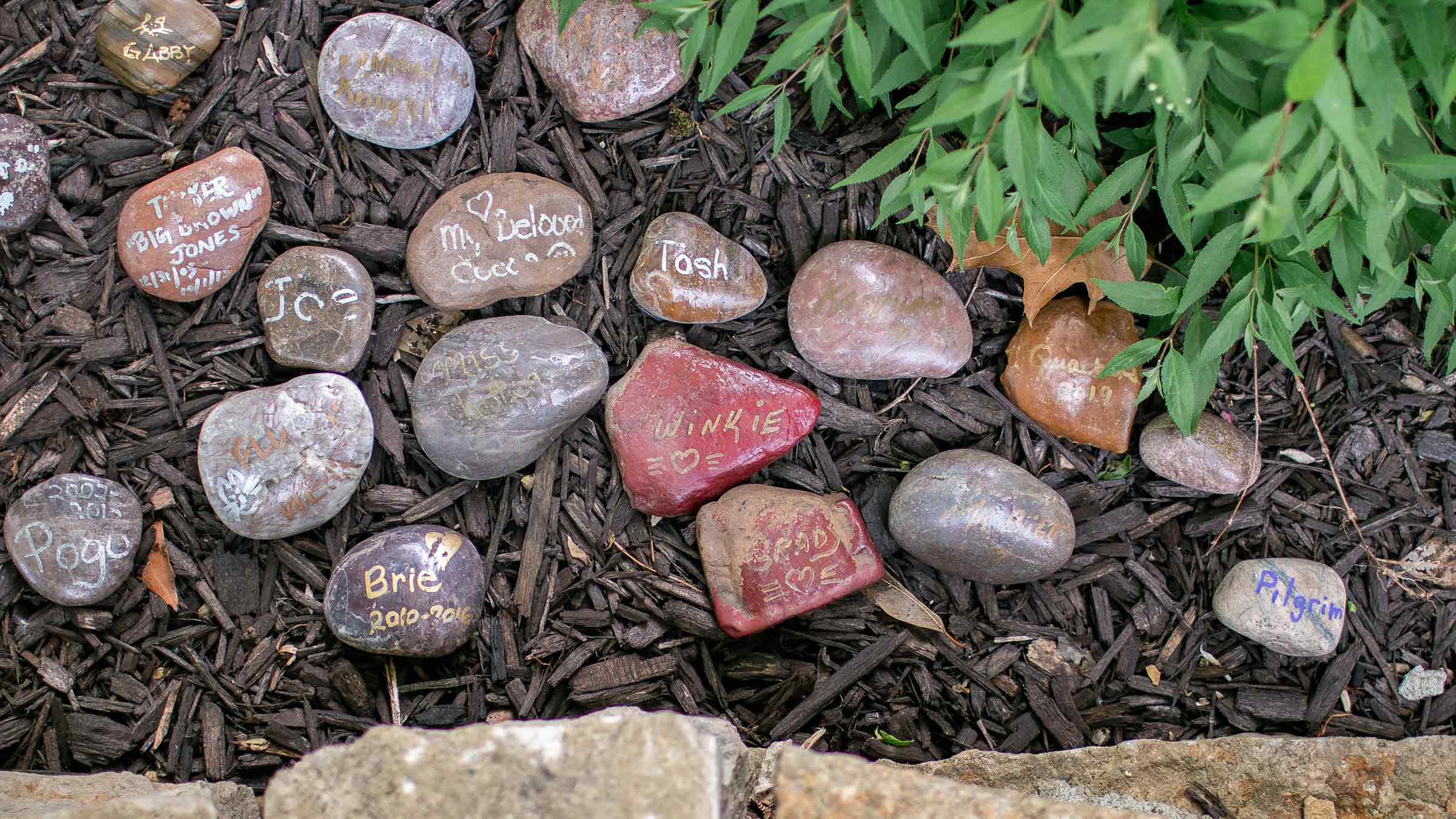 Memorial stones with the names of pets written on them