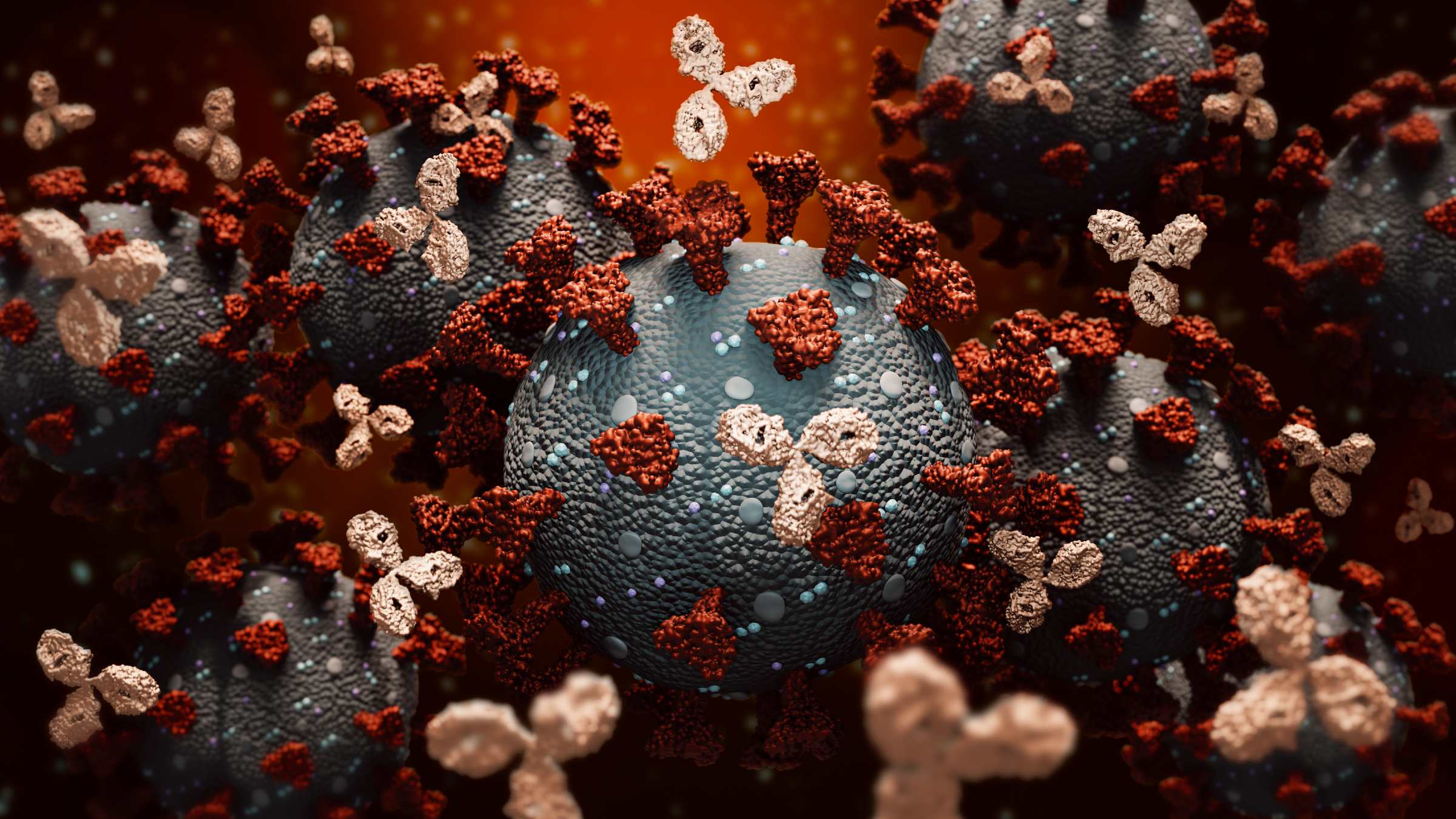 How are monoclonal antibodies used to fight COVID-19, and what’s it like to receive them?