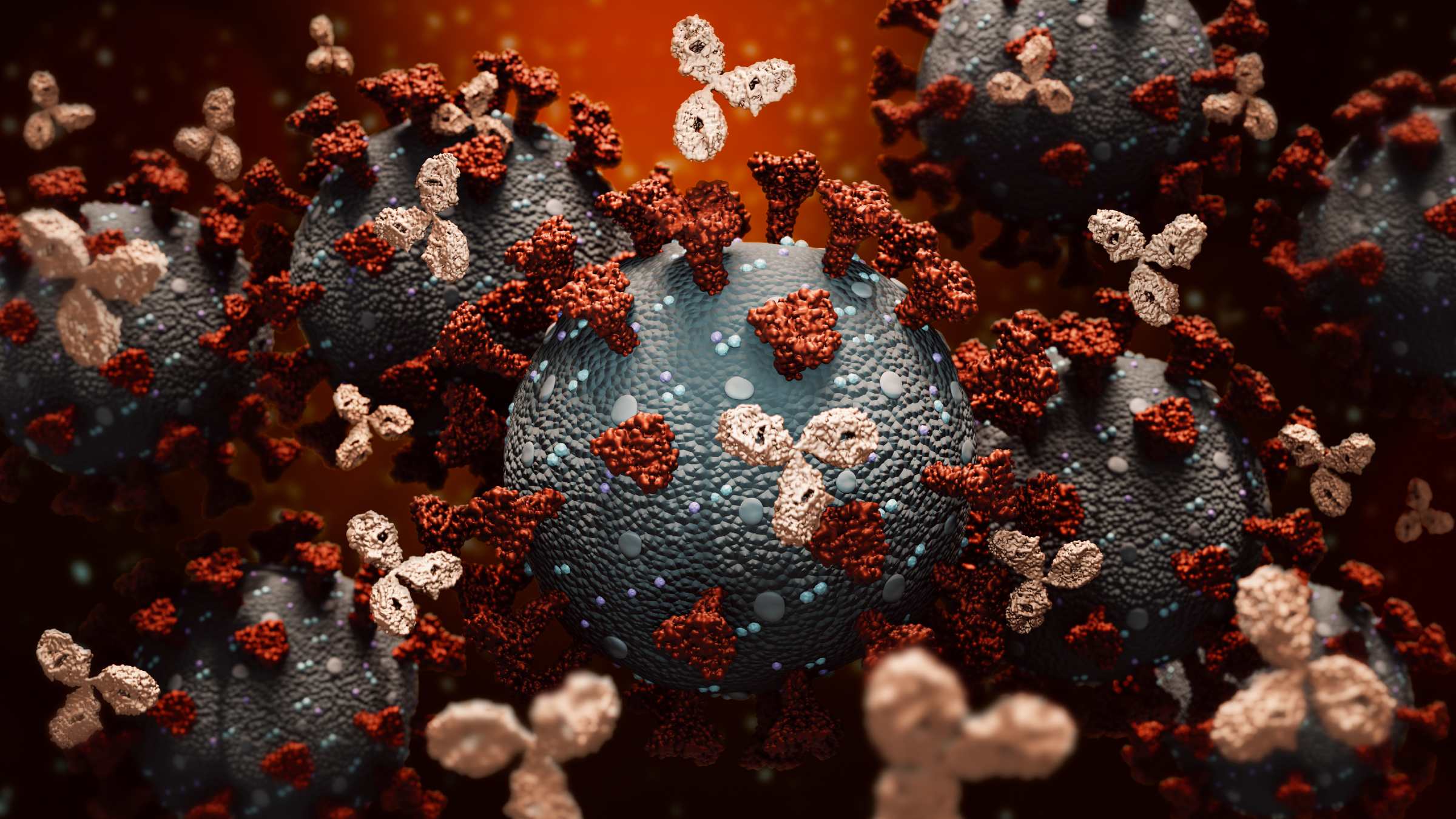 Antibodies fighting against a coronavirus 3D rendering