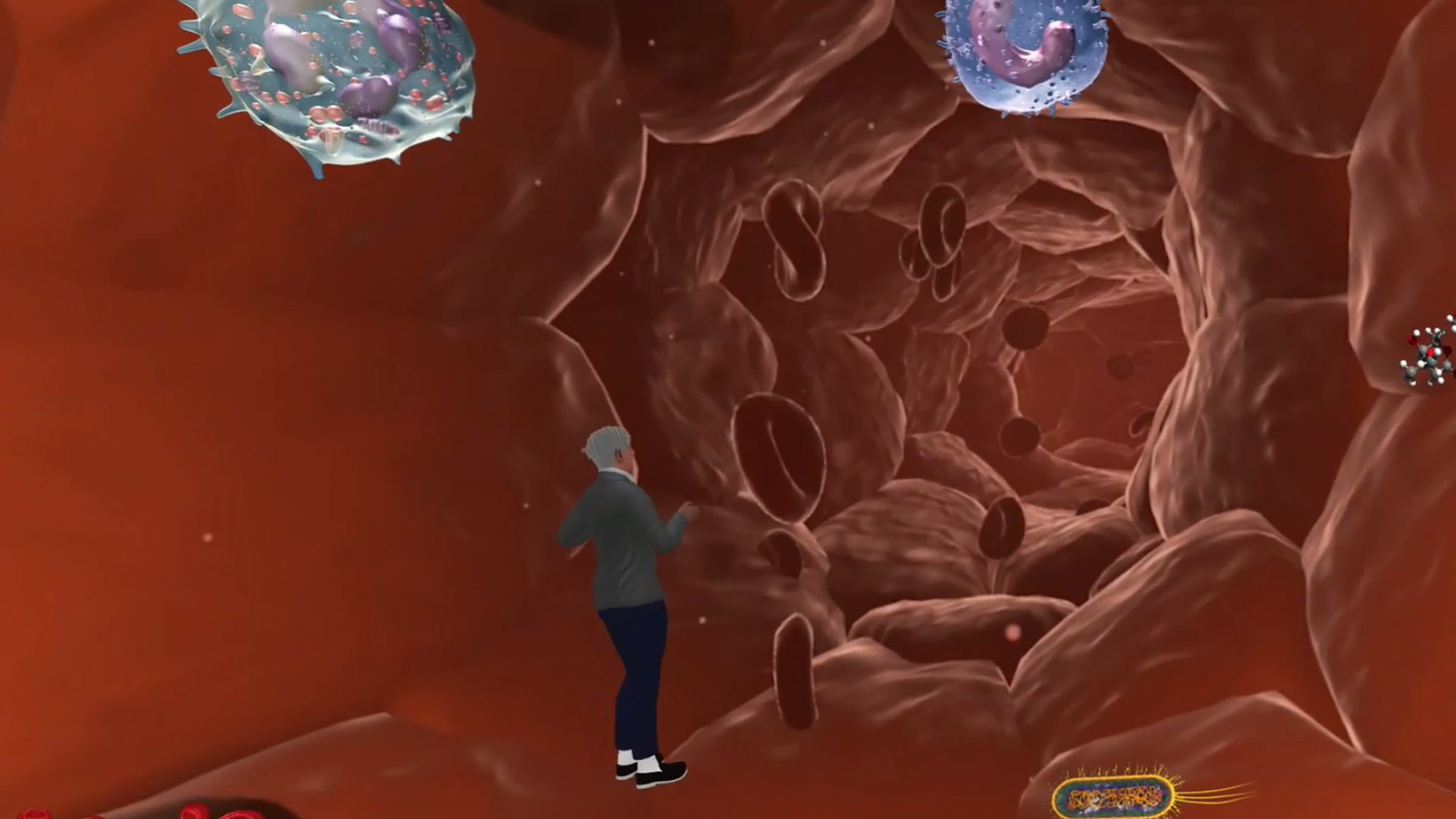 Blood vessel with a human cartoon figure inside of it