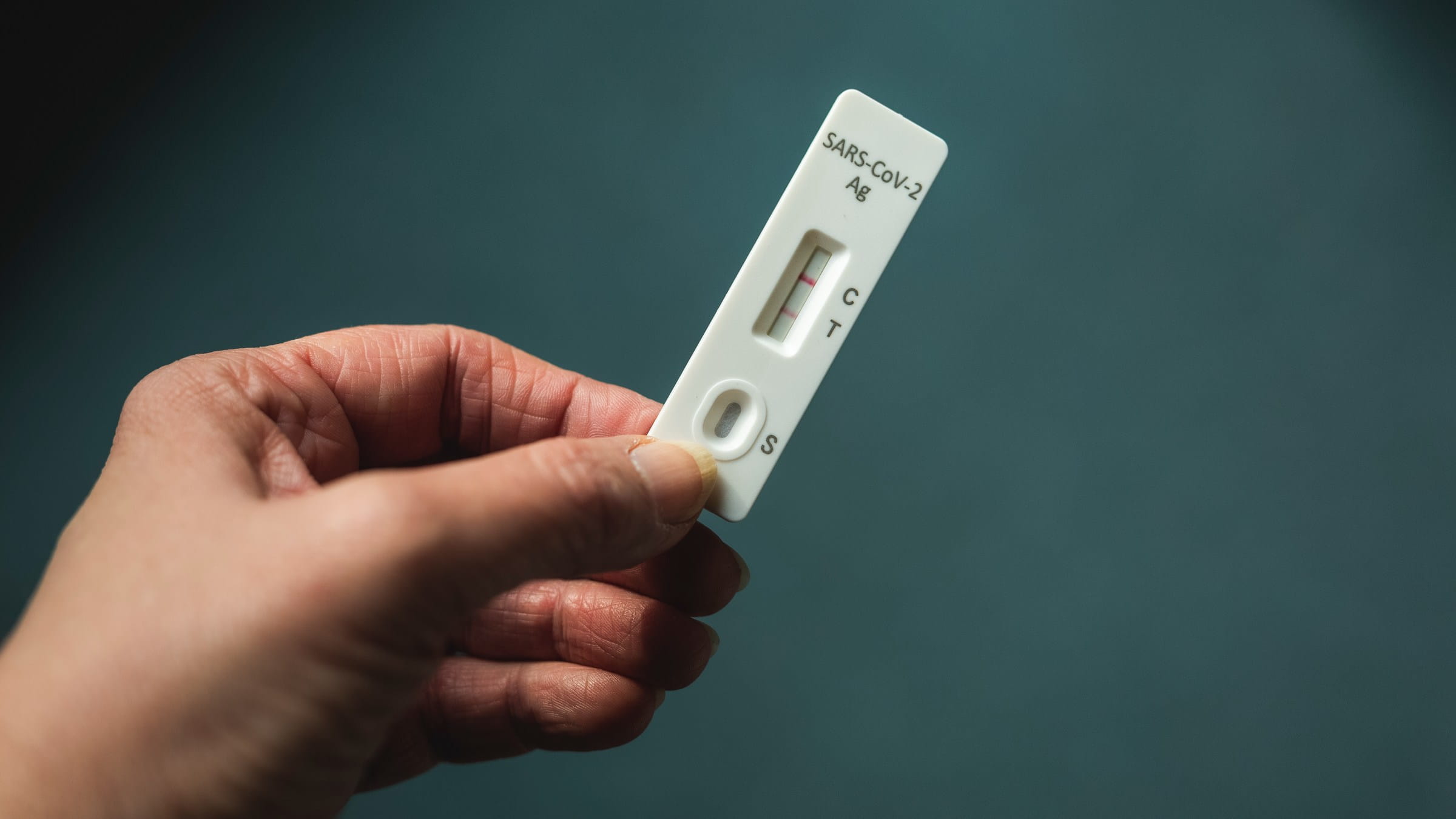 Hand holding a rapid COVID test