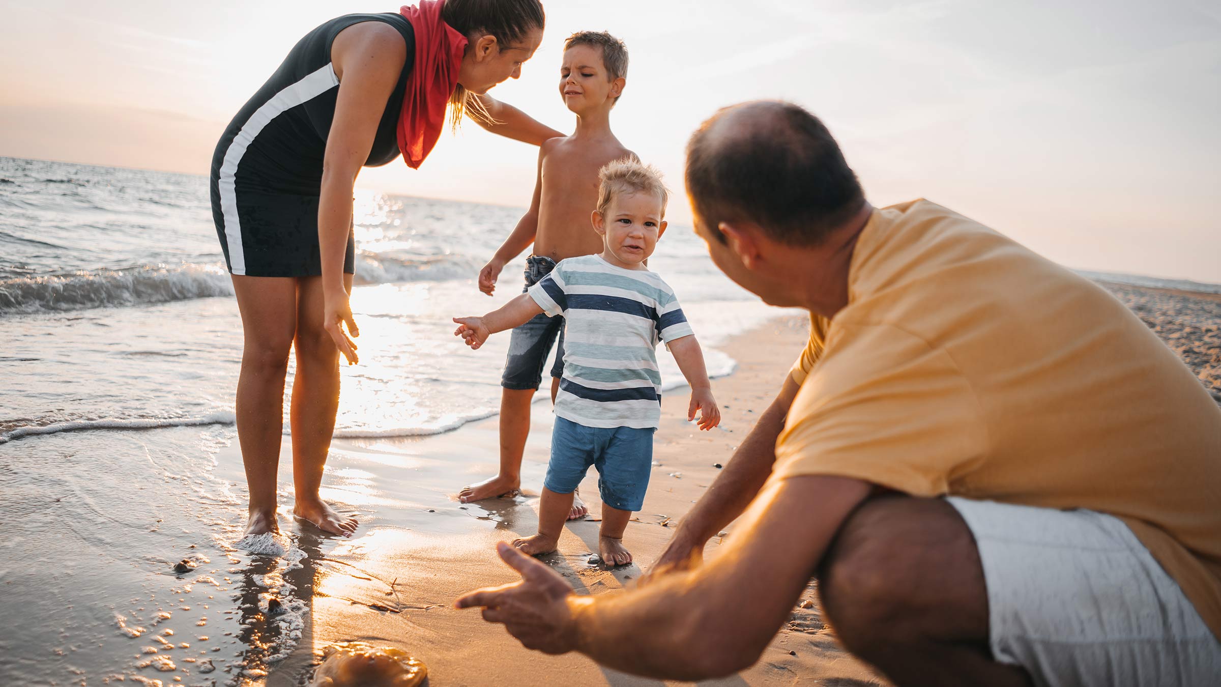 Family watching jellyfish on the beach