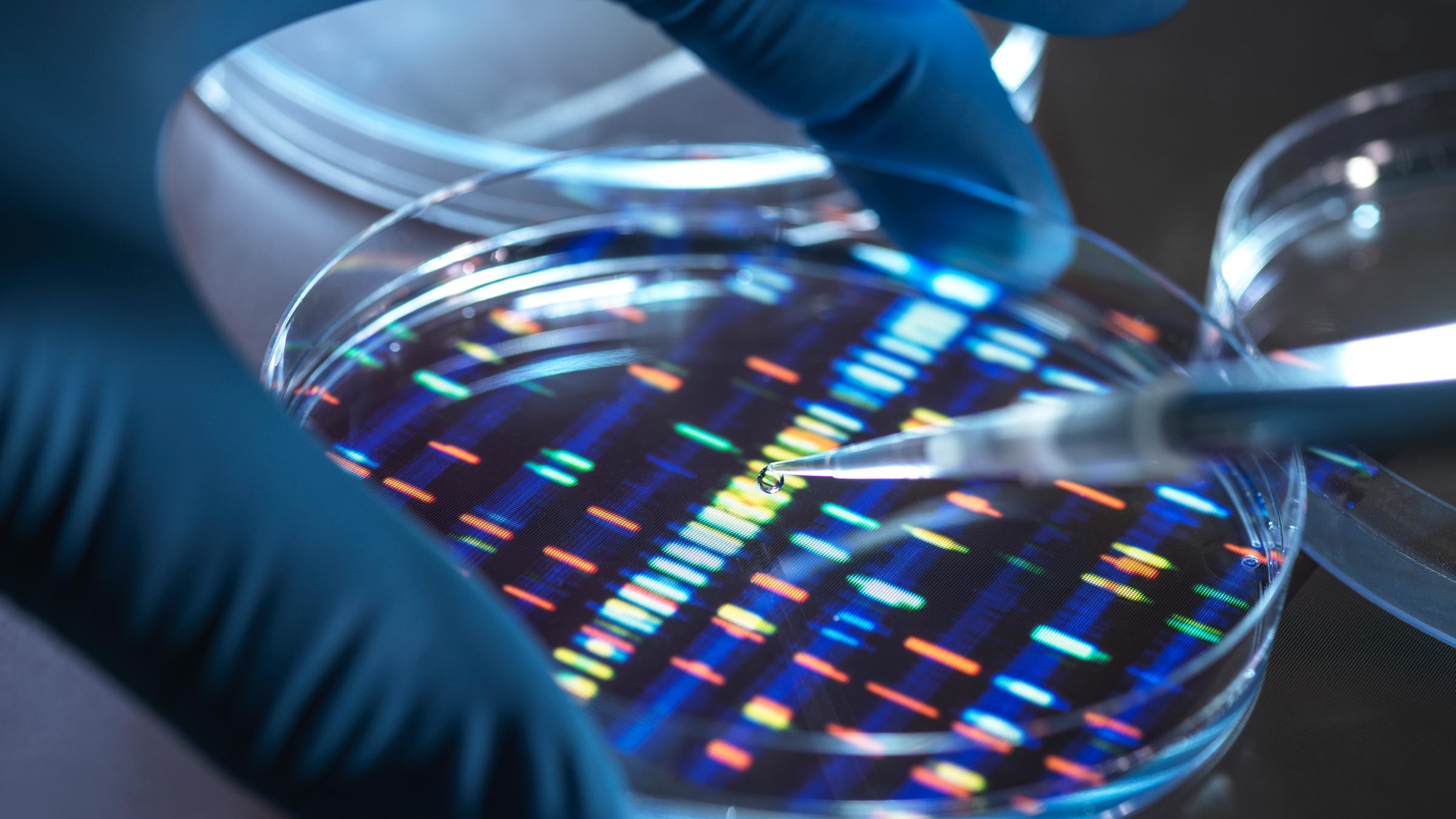 Scientist pipetting sample into tray for DNA testing