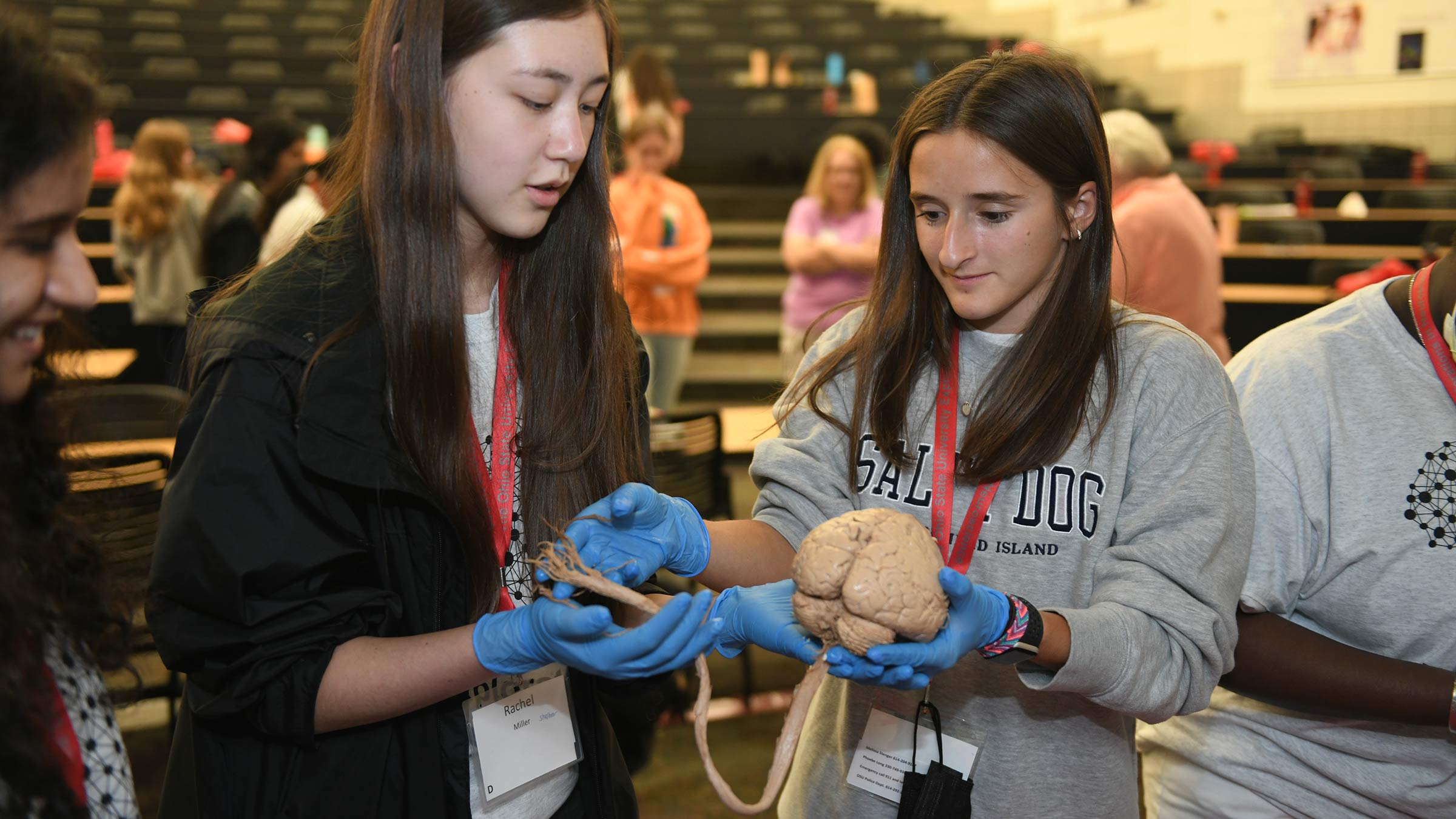 Two girls in the Neuroscience Summer Camp examining a brain