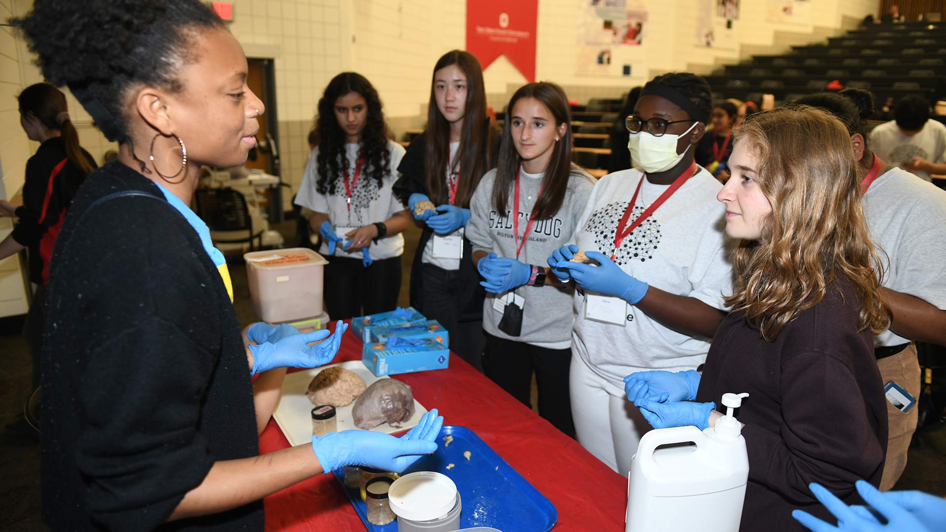 High school students lining up to see a real brain during the STEM Summer Camp at Ohio State