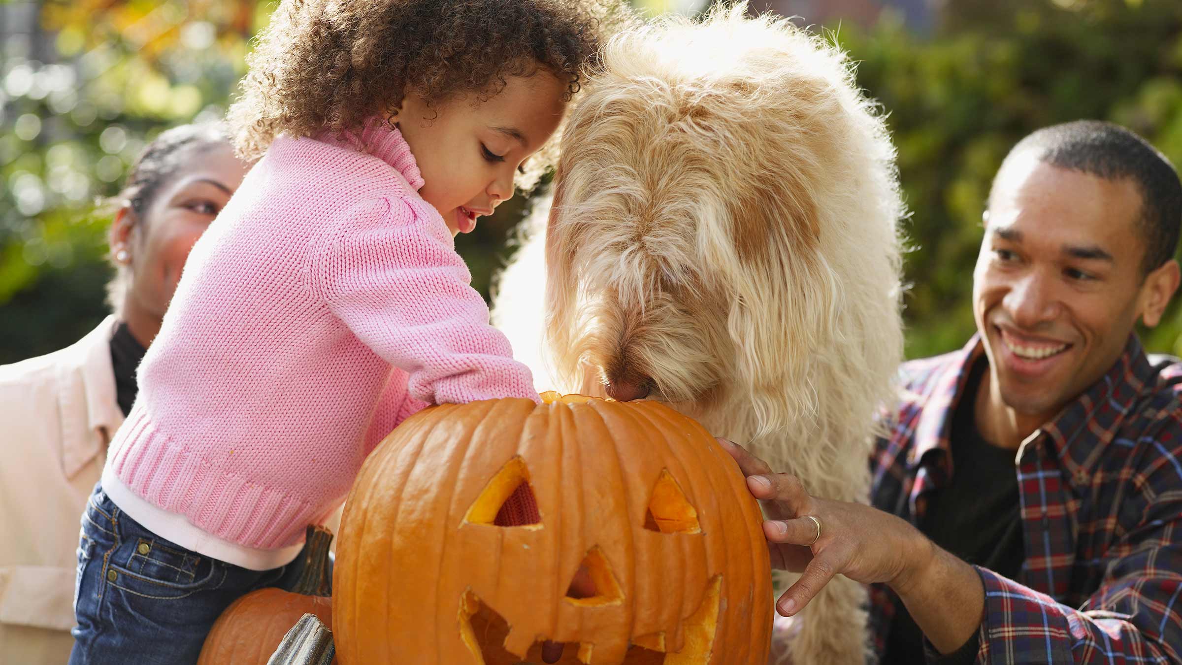 Young girl carving a pumpkin with her family