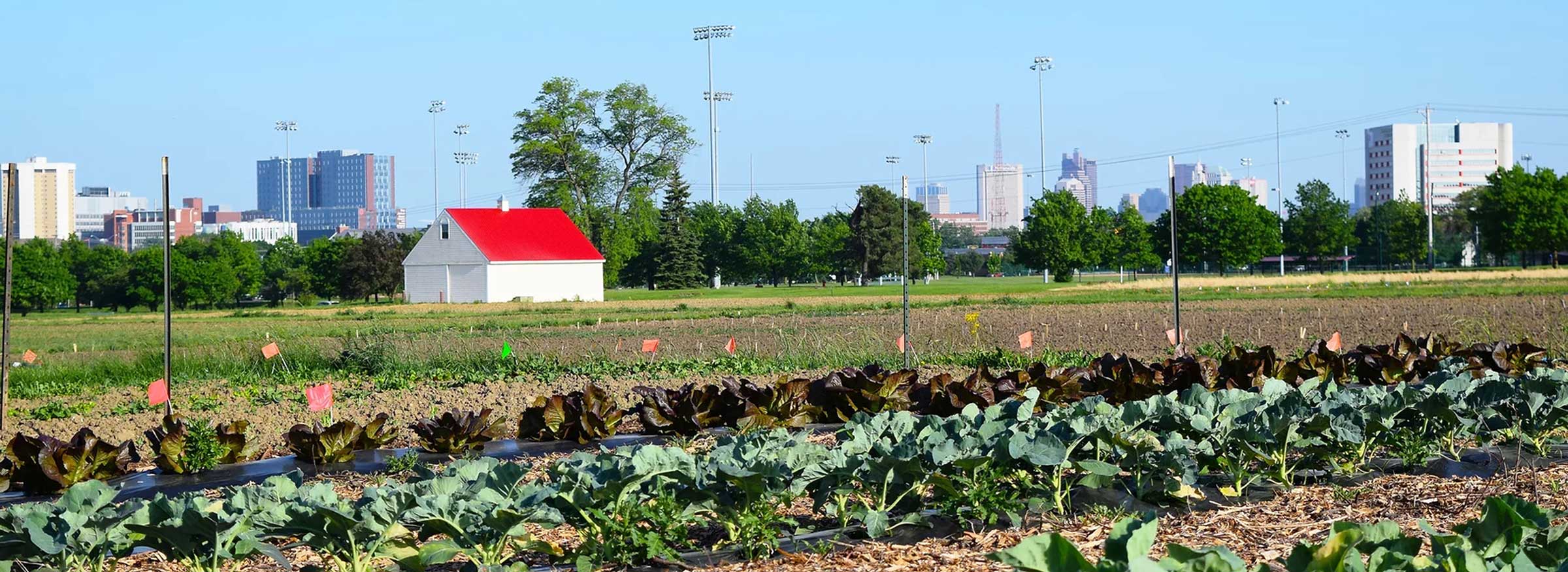 The hope garden with downtown Columbus in the background