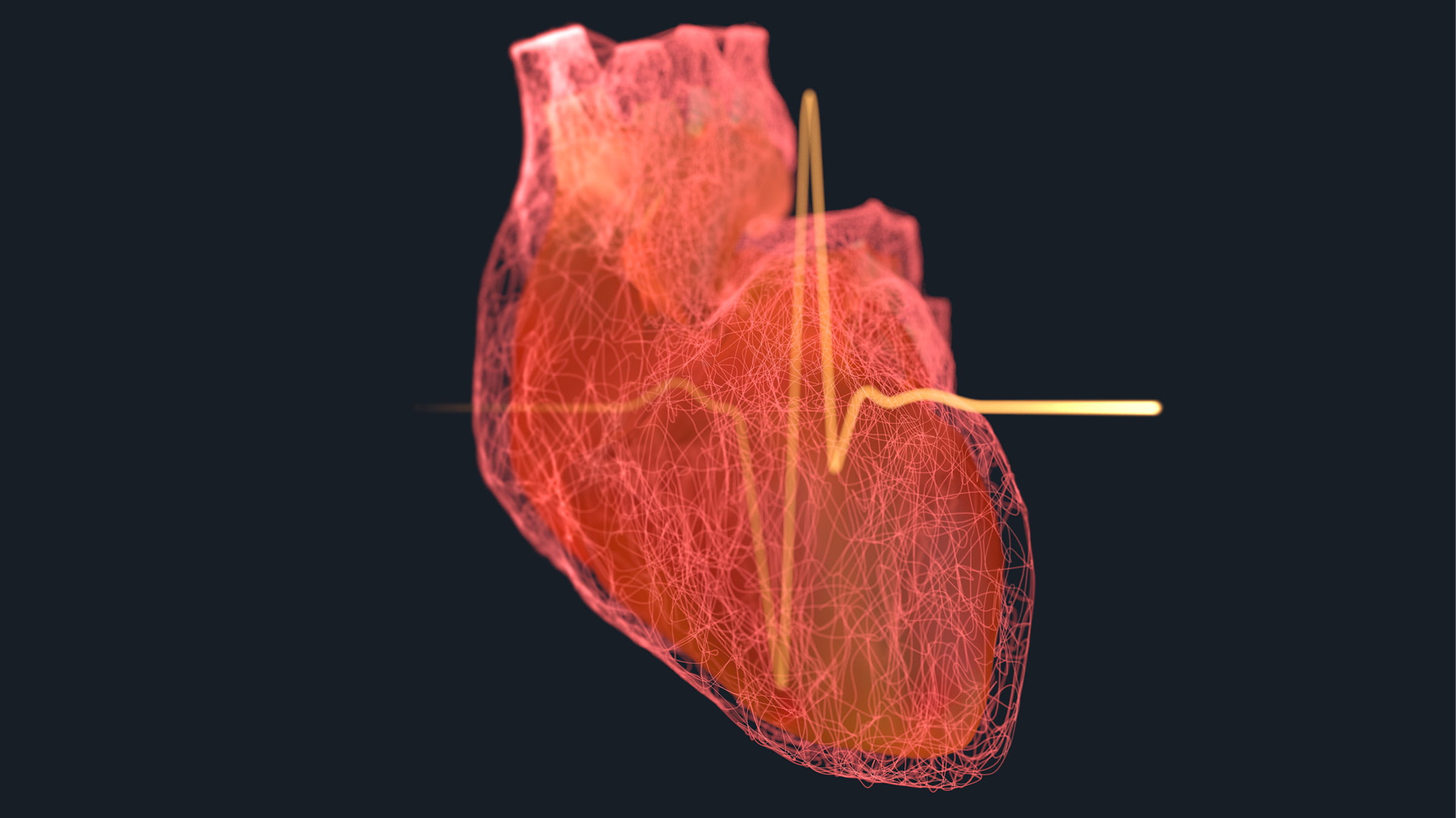 Image of the heart organ overlaid on a graph of a heartbeat