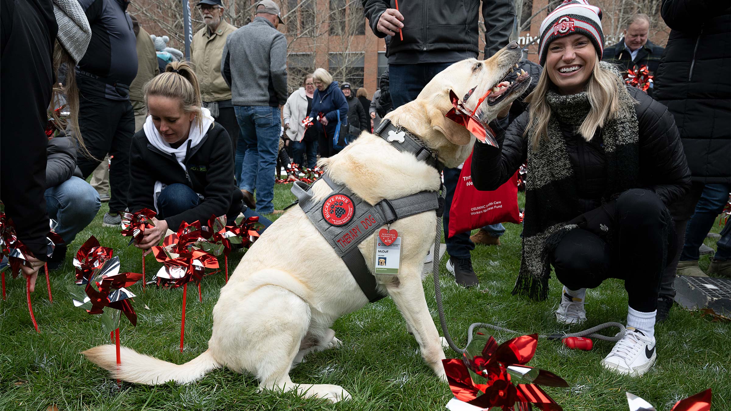 Lady sitting with a Buckeye Paws therapy dog
