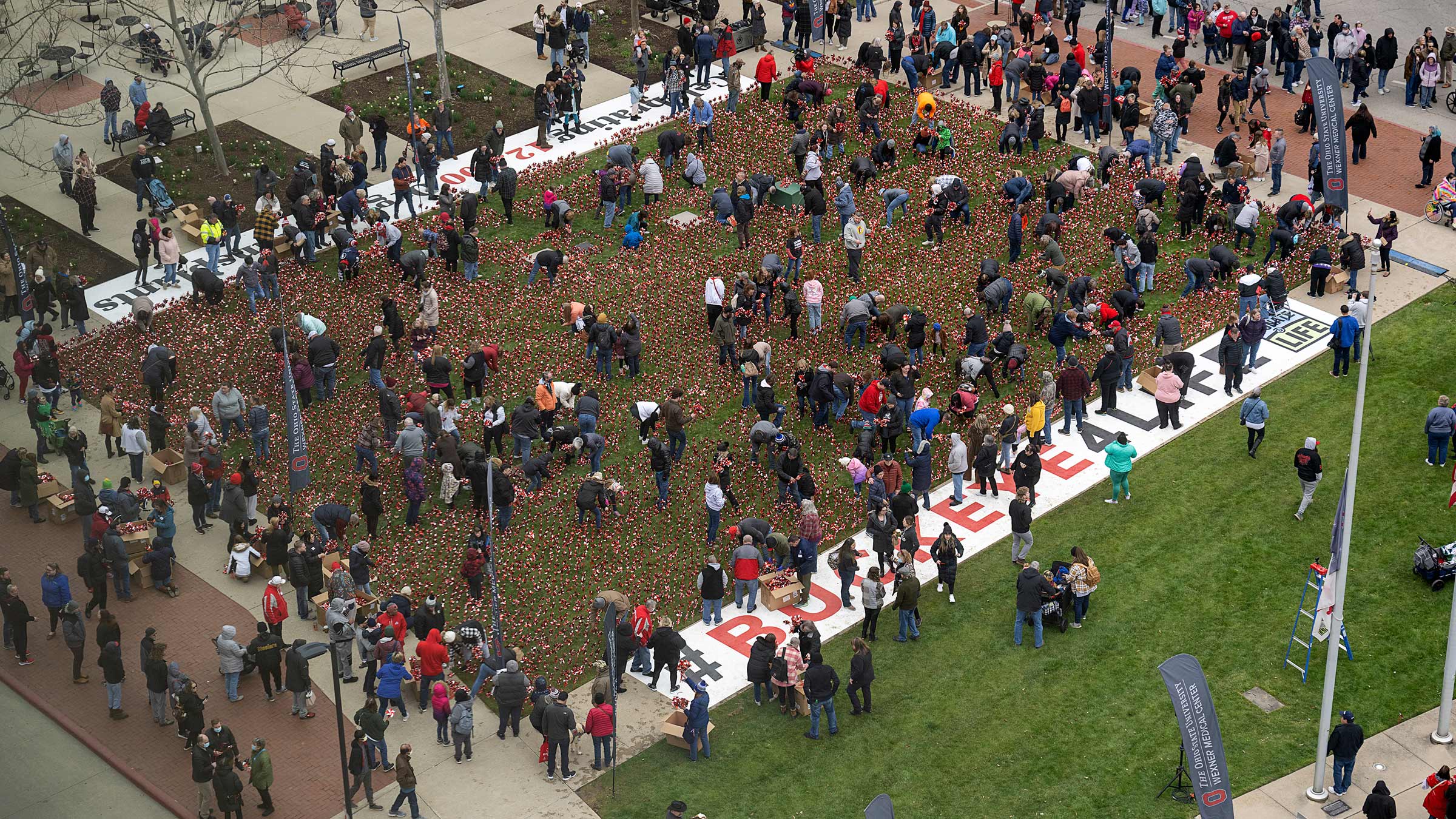 Aerial view of everyone planting pinwheels