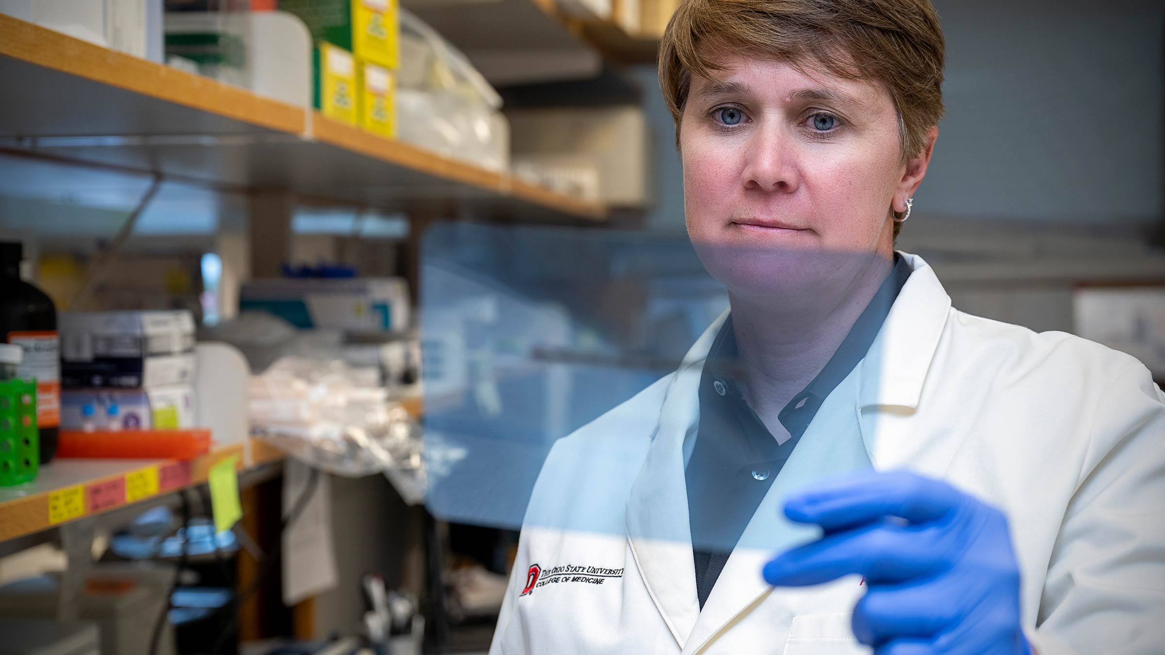 Kristin Stanford, PhD, looks at data in her laboratory at Ohio State 