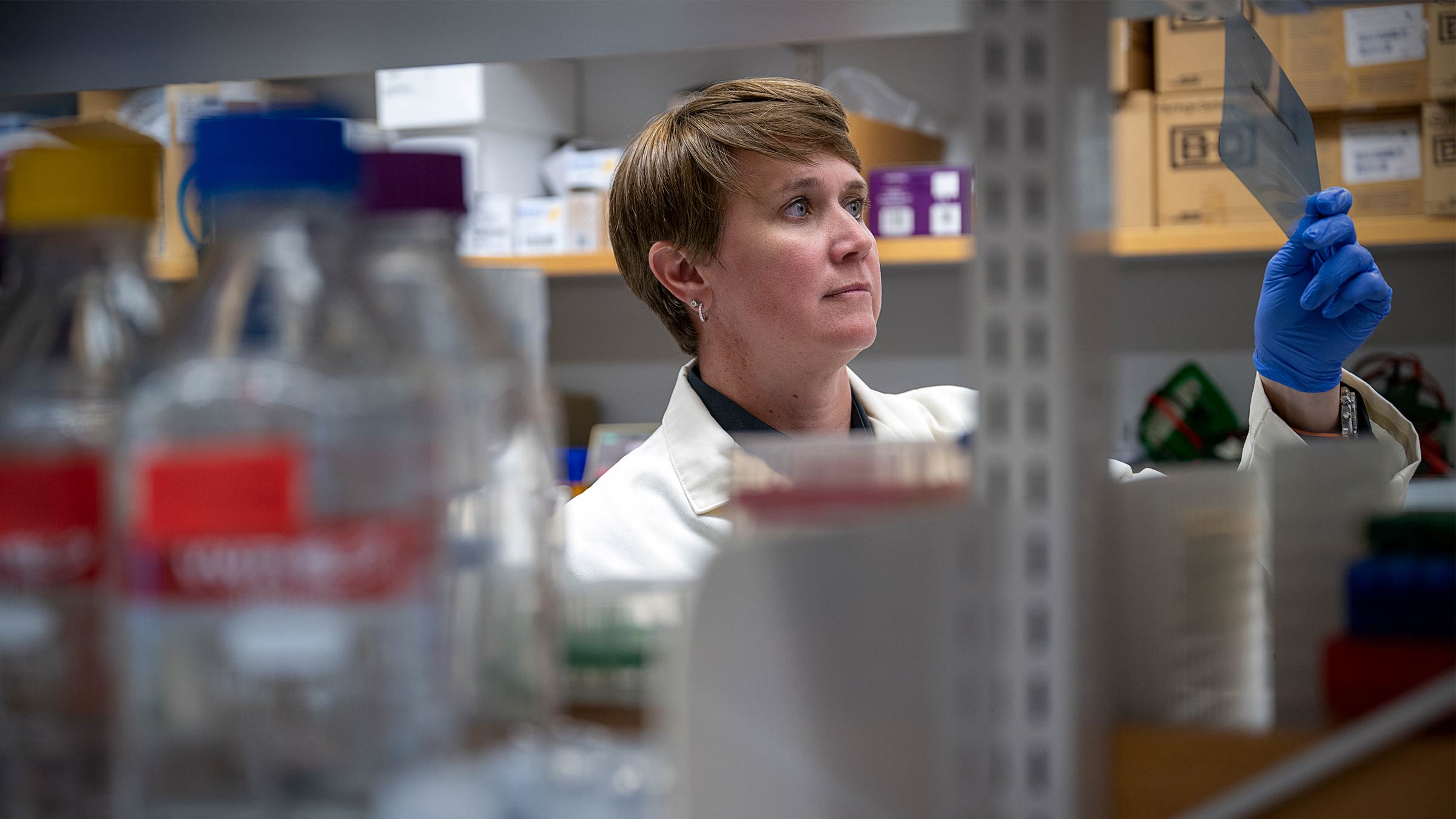 Kristin Stanford, PhD, looks at data in her laboratory at Ohio State 