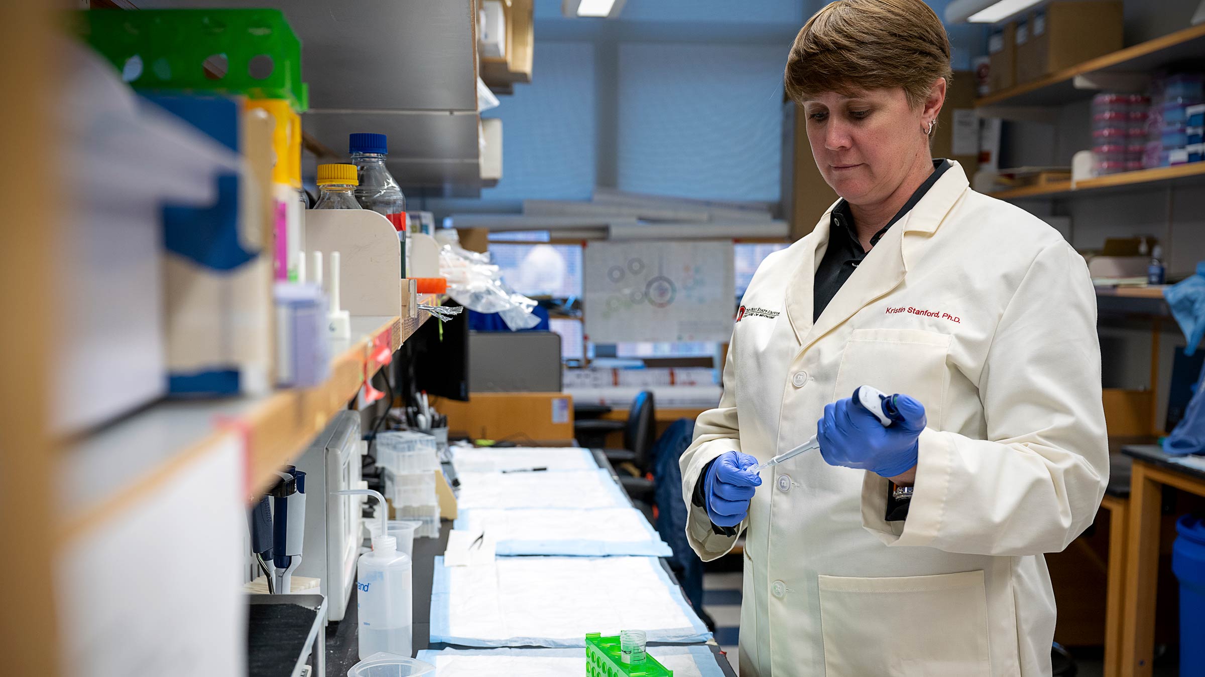 Kristin Stanford, PhD, working in her laboratory at Ohio State 