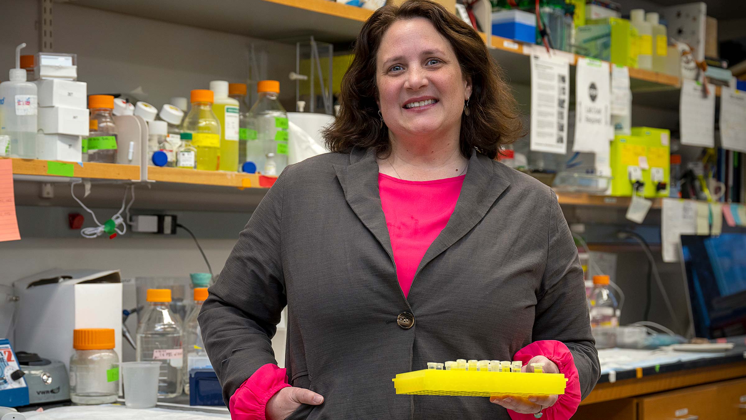 Kristy Townsend, PhD working in her laboratory at Ohio State