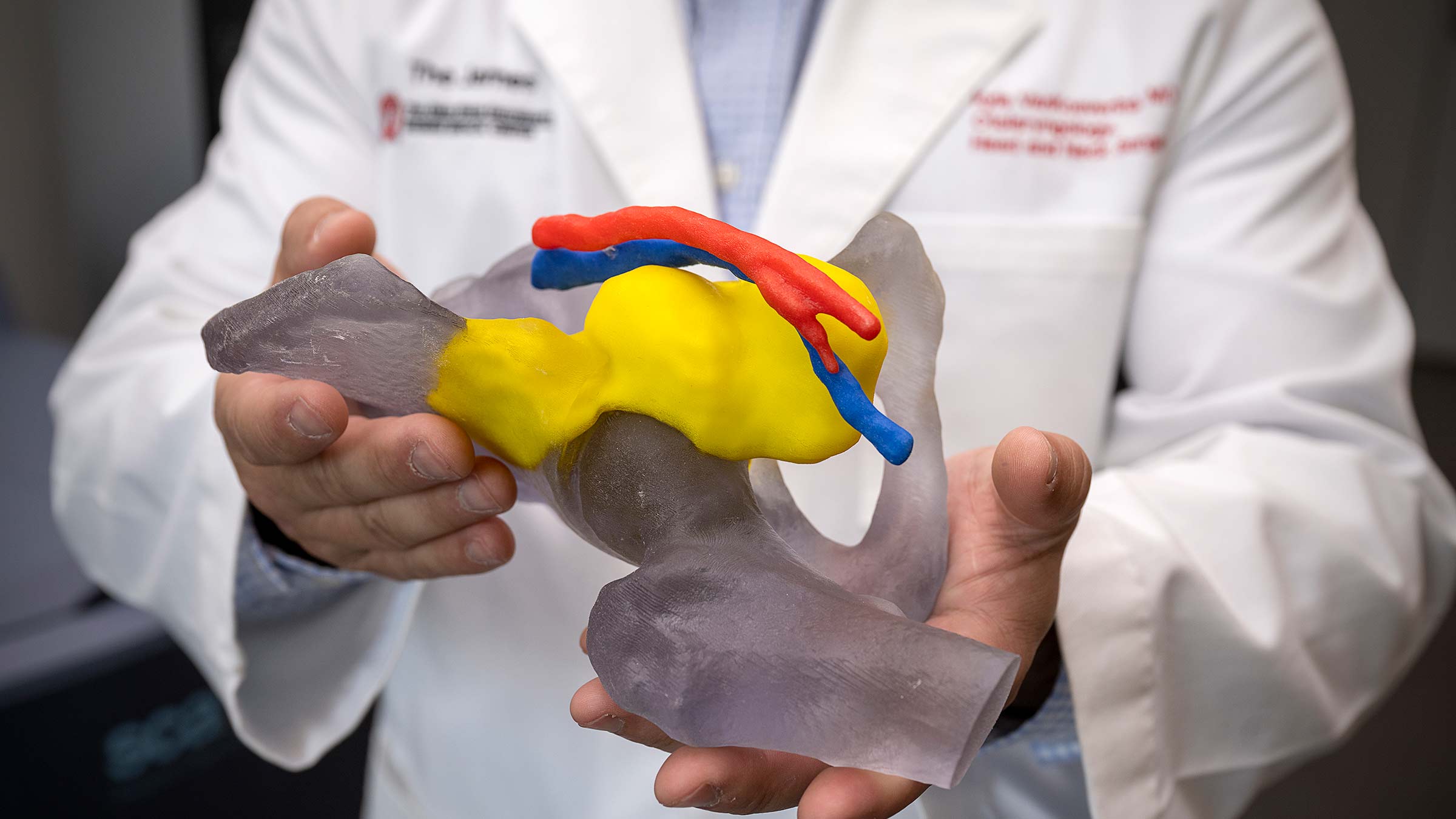 Doctor holding a 3D model
