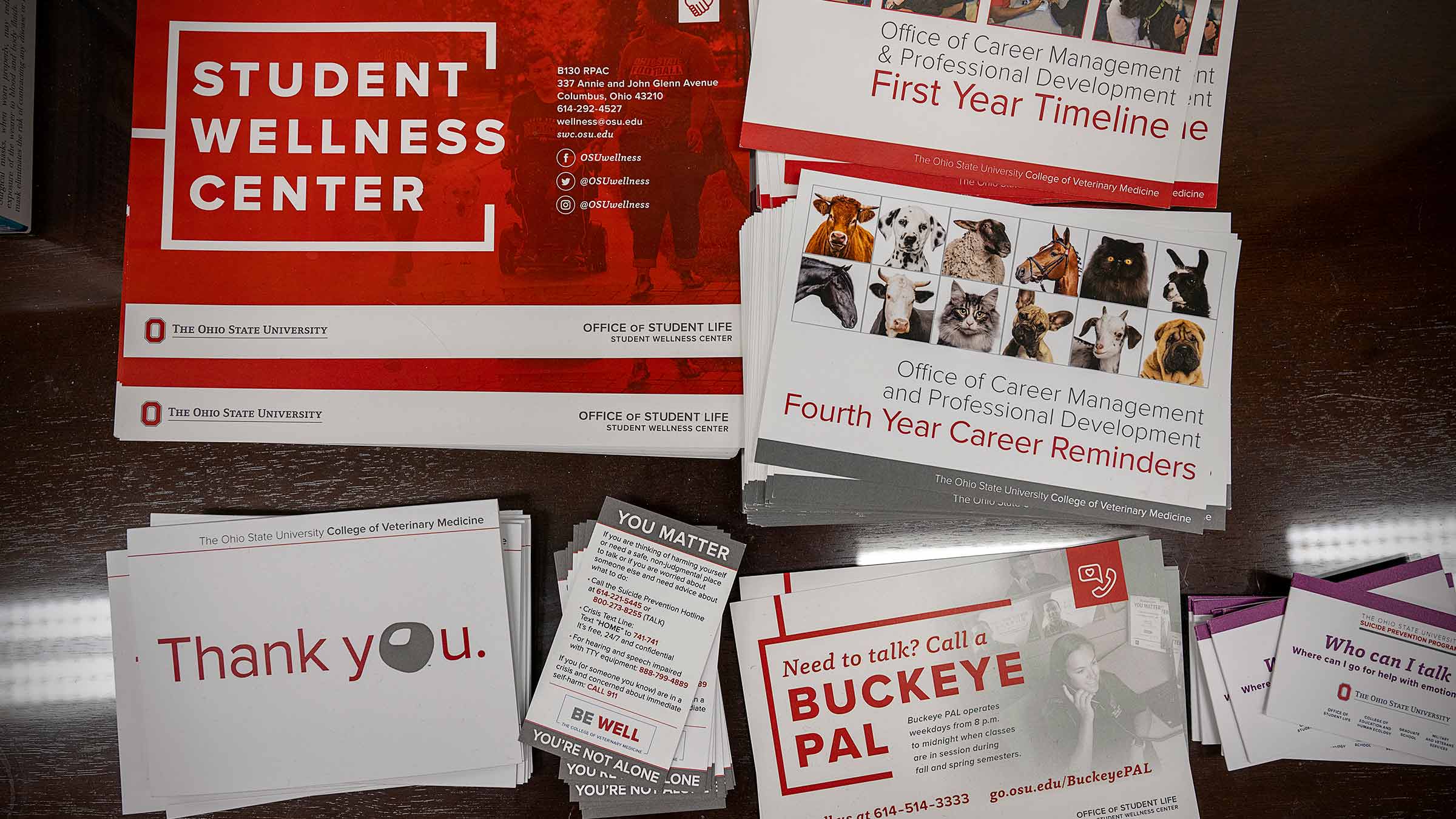 Student Wellness Center brochures