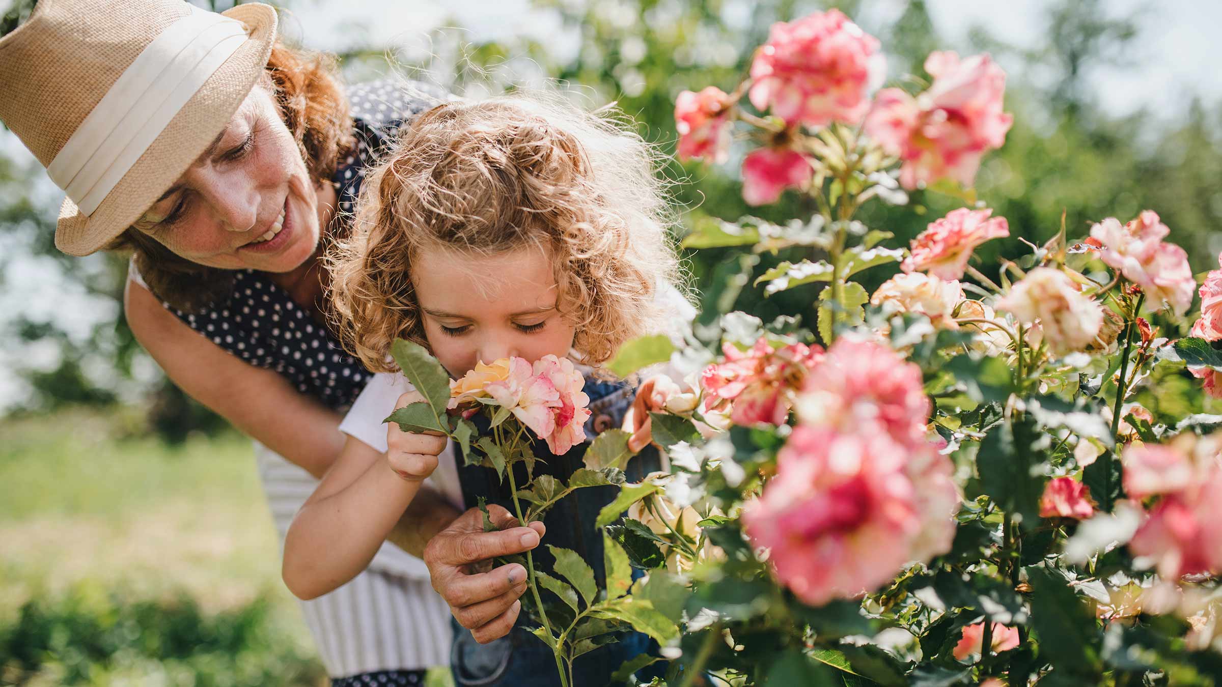 An older woman and her granddaughter smelling roses in a garden
