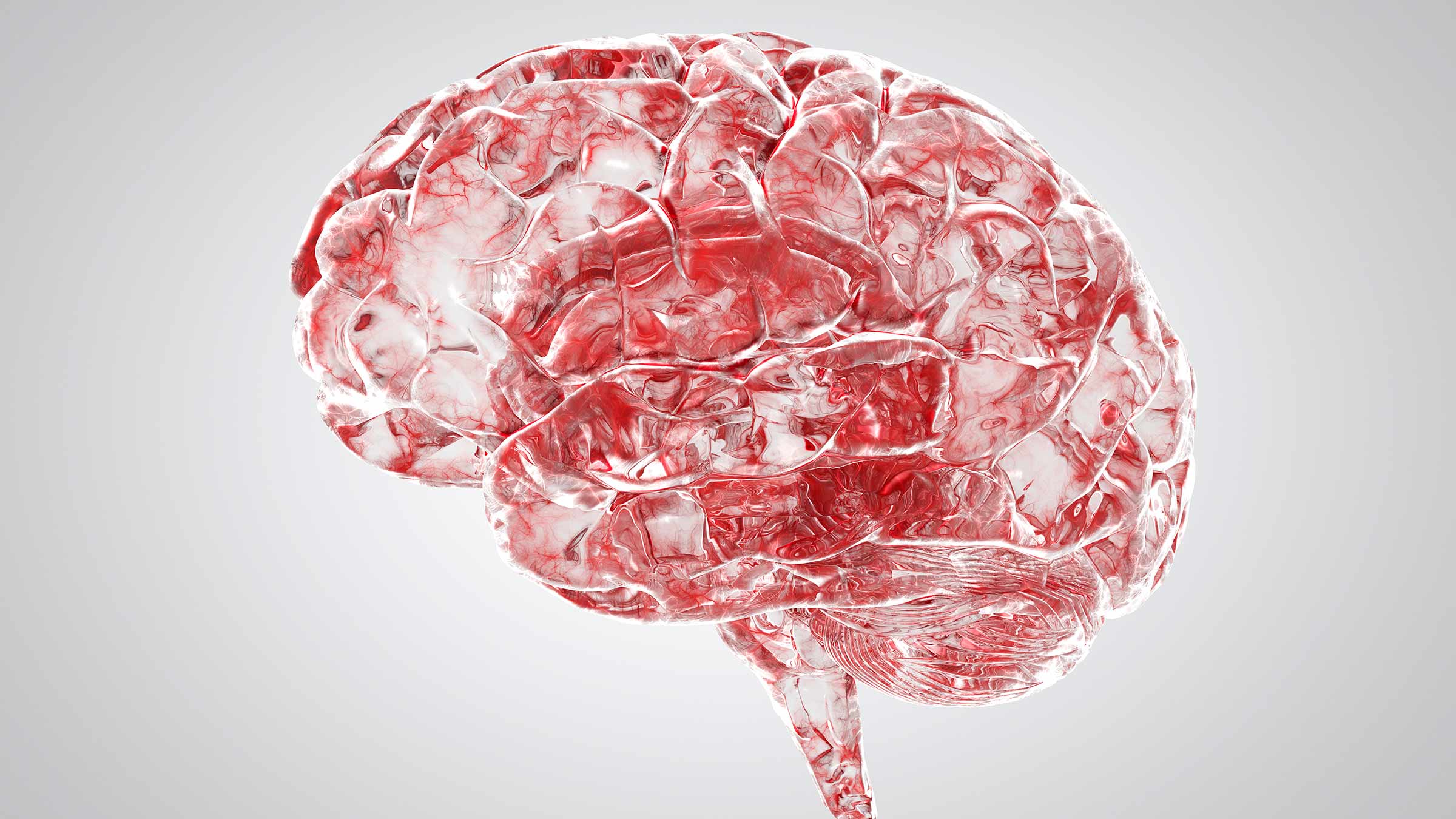 3D rendering of a brain showing blood vessels