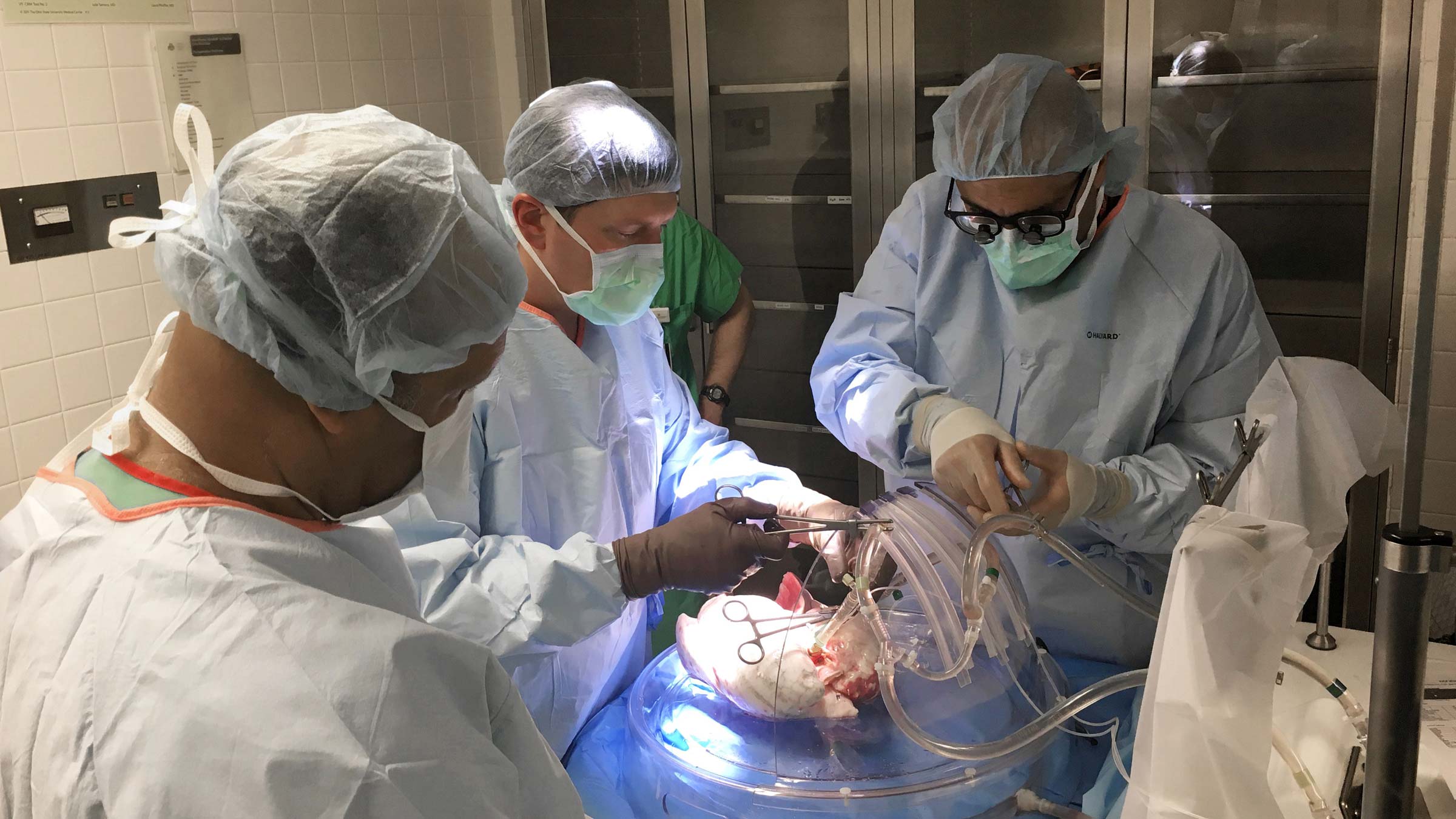 Dr. Whitson and his research team prepare a lung for the perfusion process.