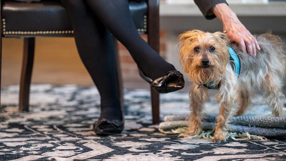 Winnie standing next to Dr. Acton's feet