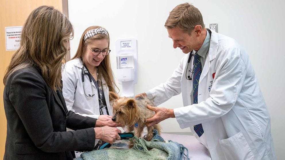 A doctor examining Winnie with his caregiver Dr. Acton present