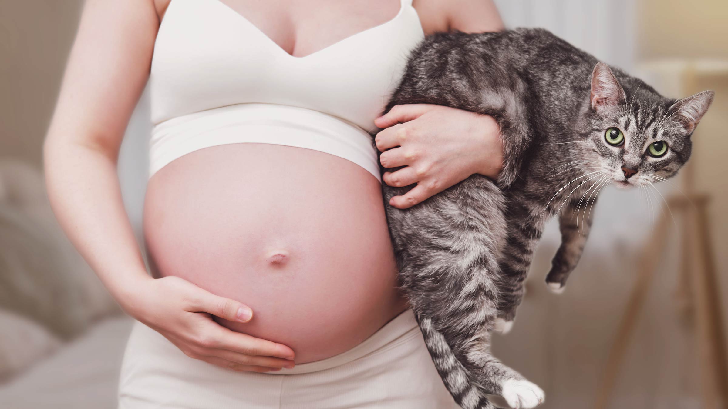 Pregnant woman with a cat in her hands