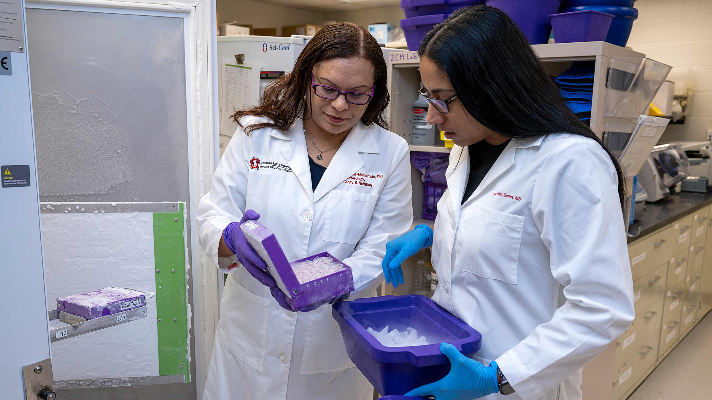 Dr. Cruz-Monserrate with a colleague in the lab looking at the samples next to the freezer