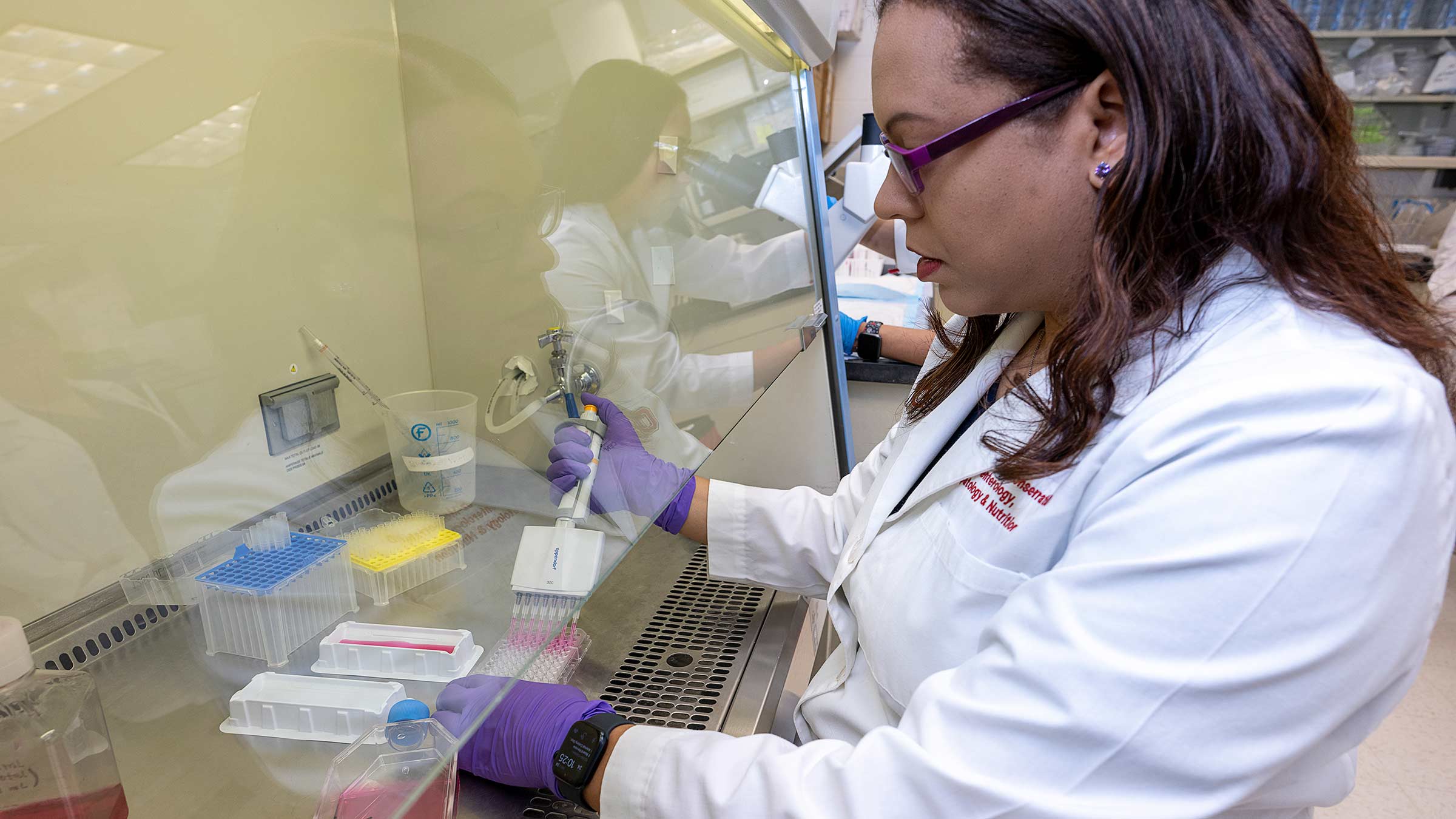 Dr. Cruz-Monserrate working in the lab