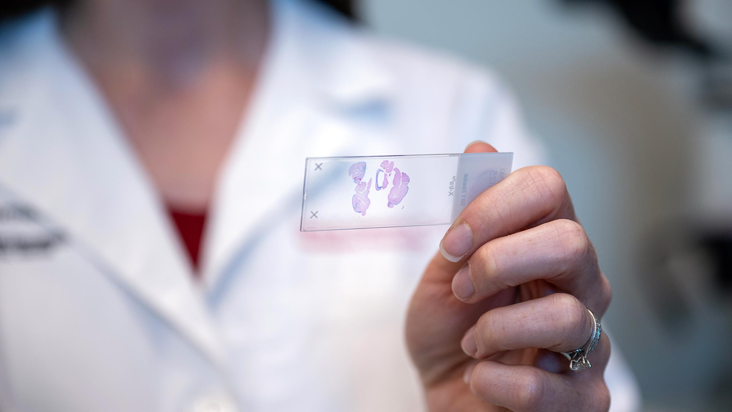 Dr. Sizemore holding a lab slide in her hand