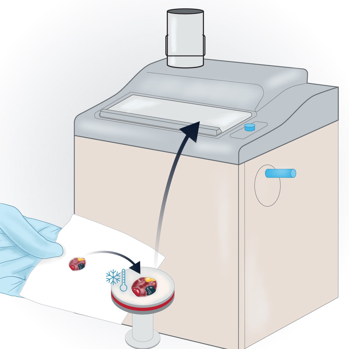 An illustration of a sample placed into a machine to freeze