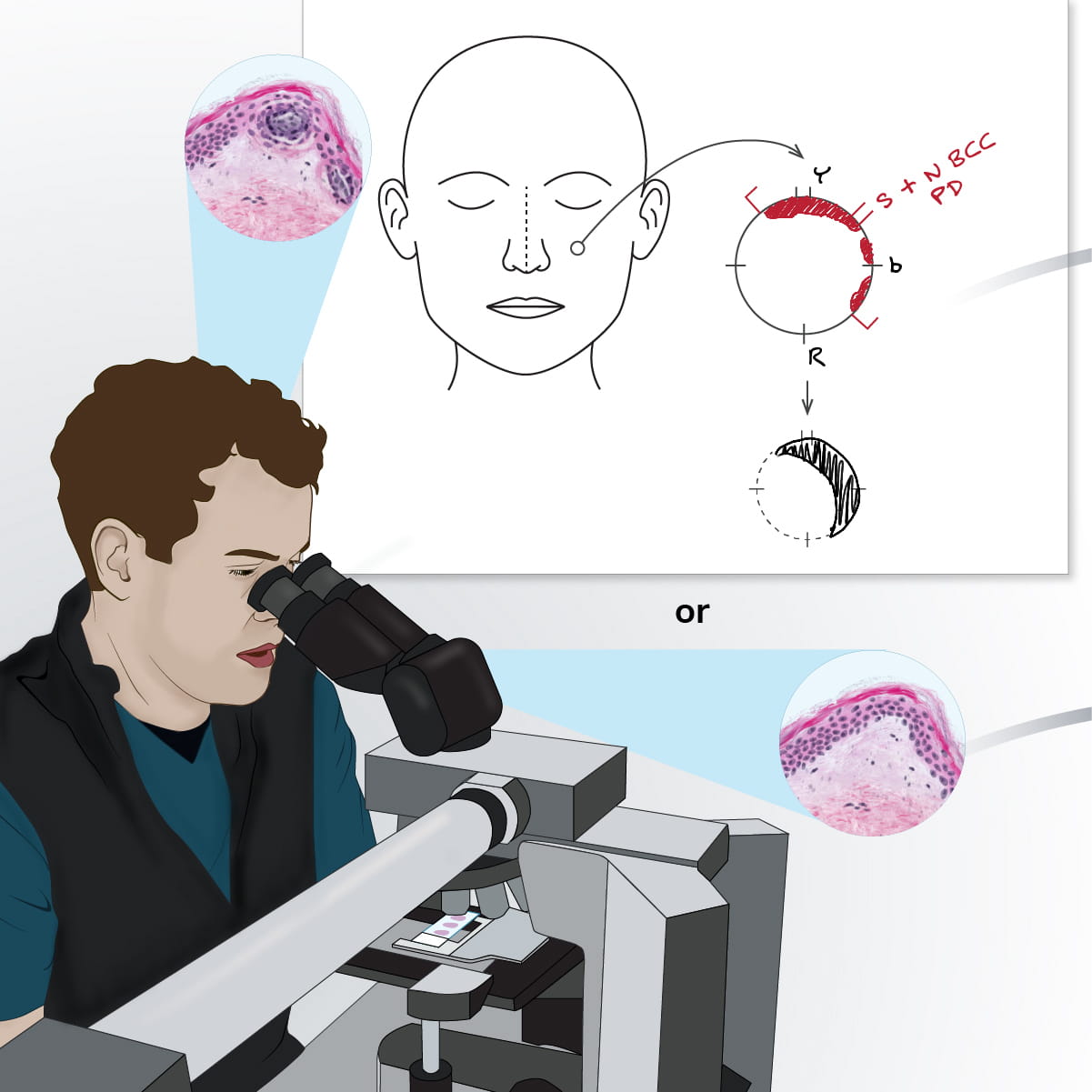 An illustration oof a doctor looking through a microscope