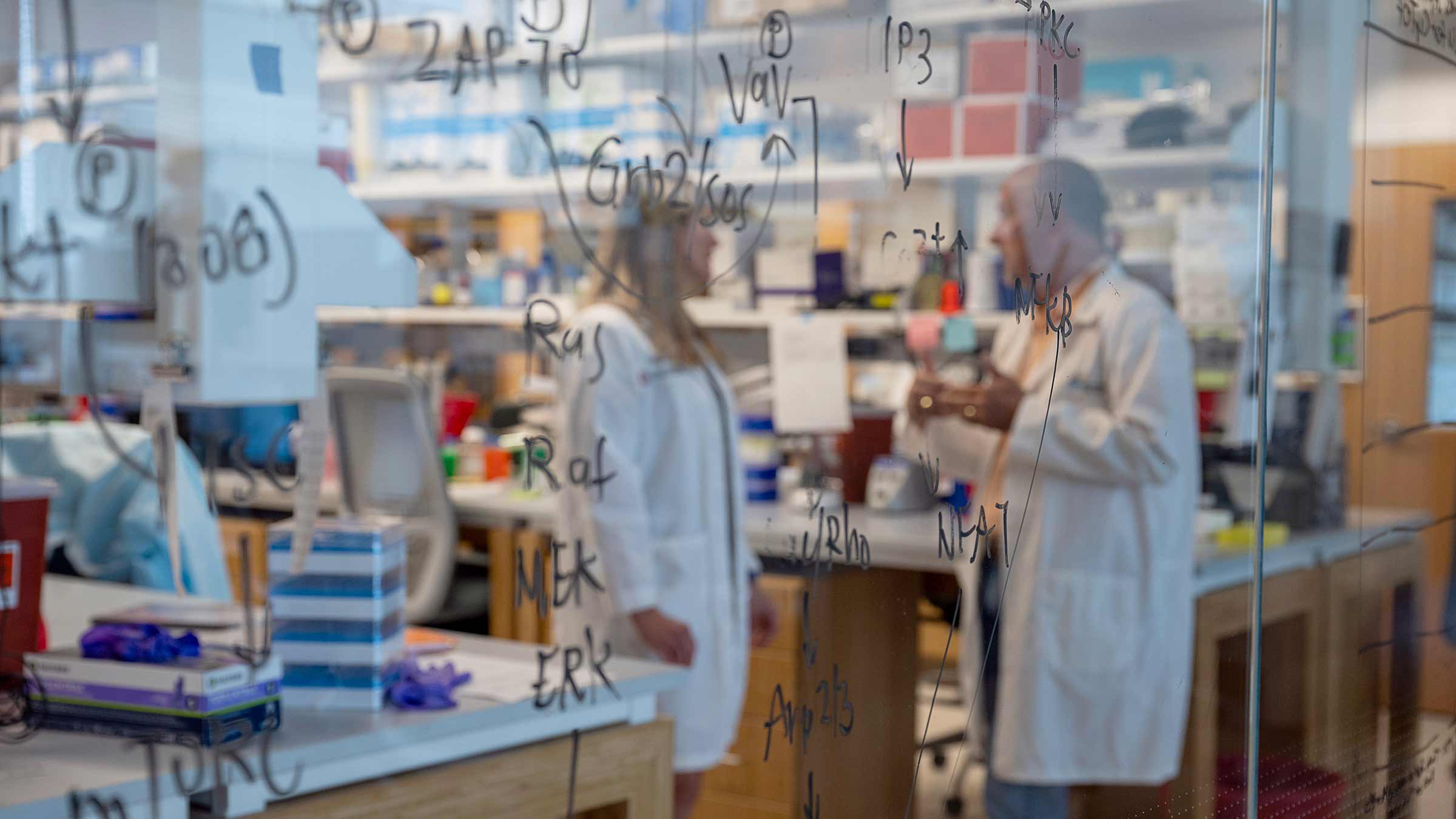 A glass wall in a lab with words written on it