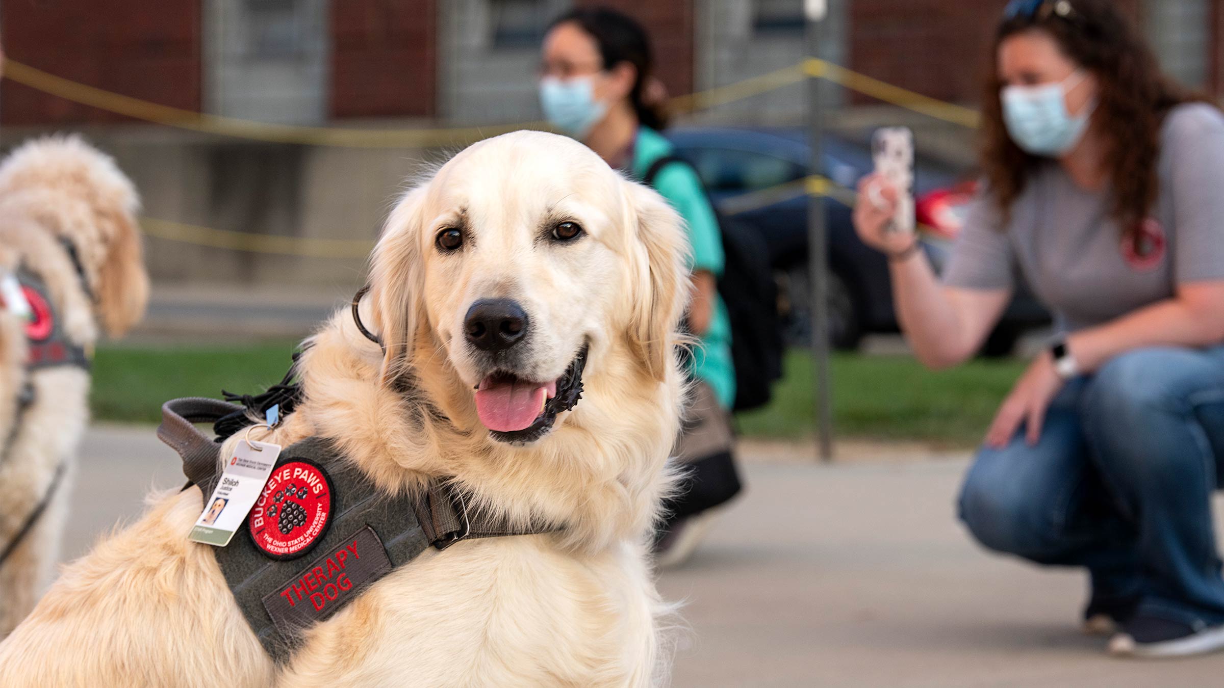 Shiloh a Buckeye Paws therapy dog poses for a photo