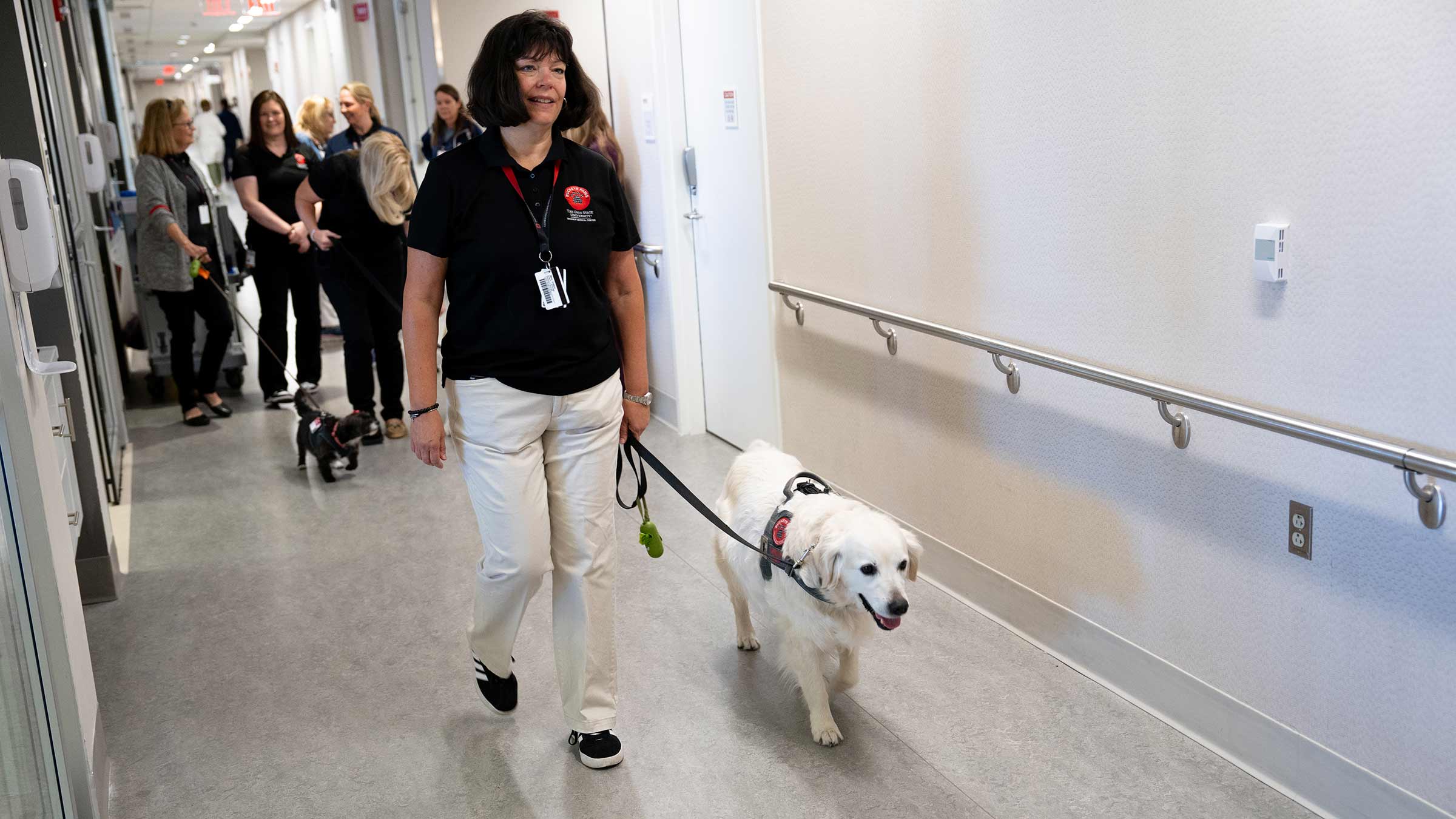 Buckeye Paws team member walking a dog down a hallway