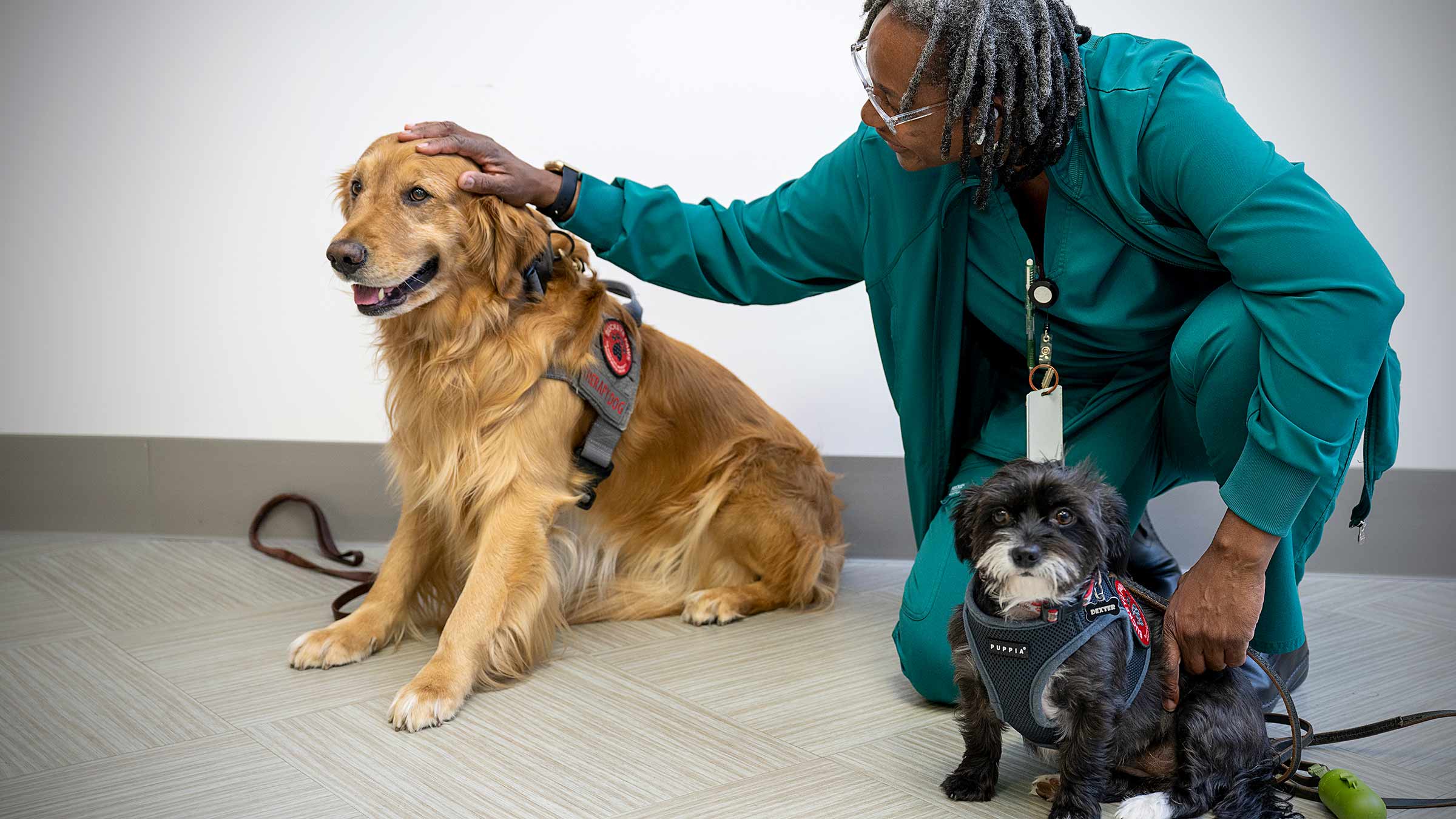 A woman petting two dogs