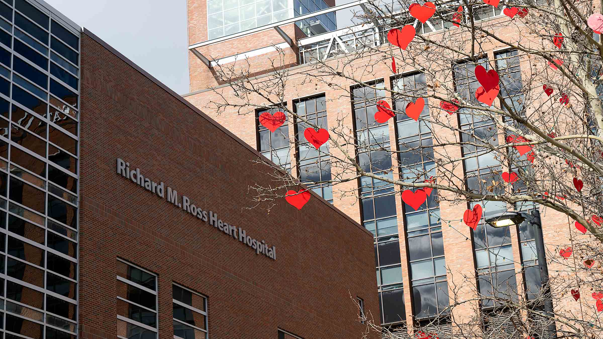 An outdoor shot of the Richard M. Ross Heart Hospital